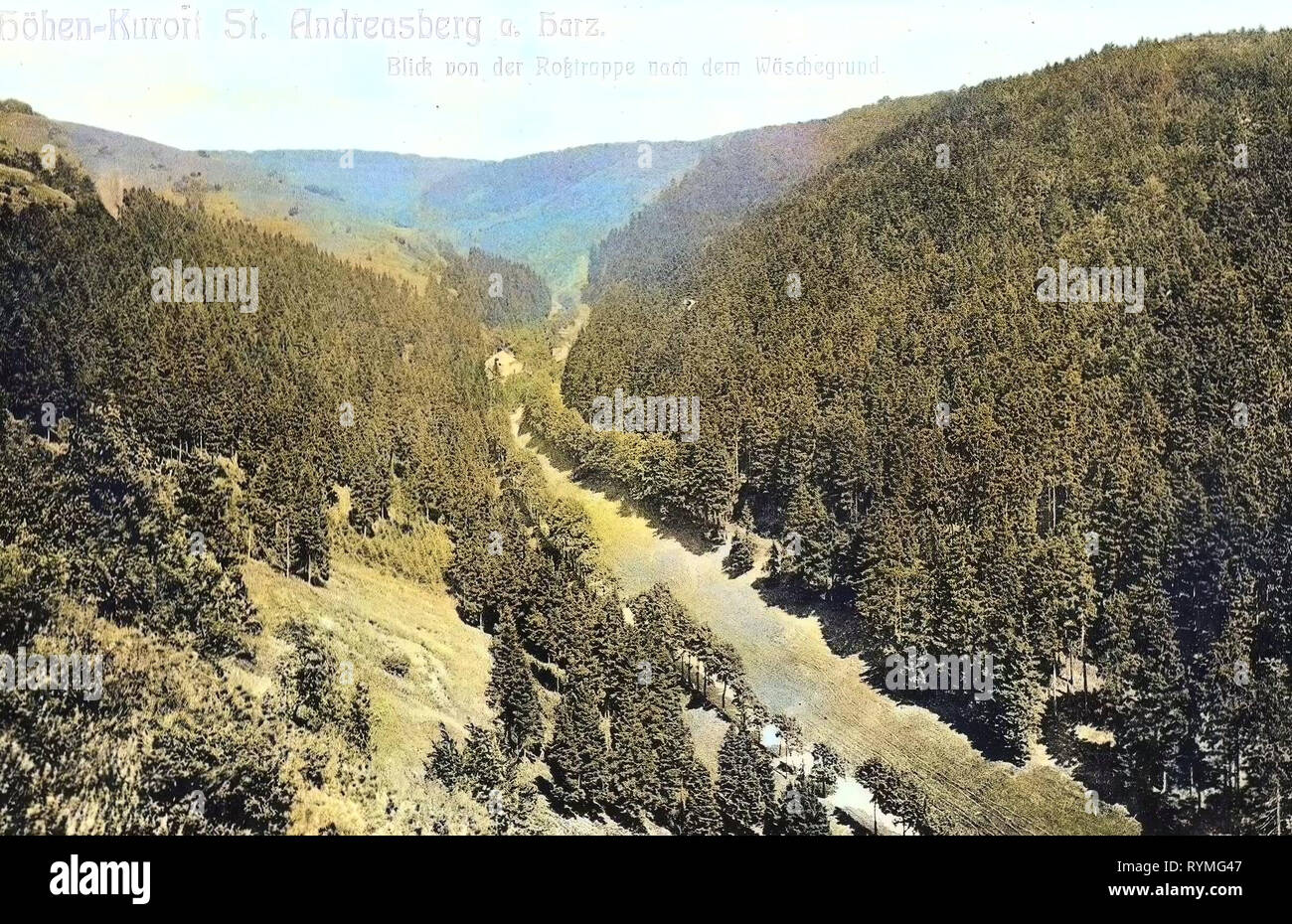 Roßtrappe, forêts en Basse-Saxe, 1907, Basse-Saxe, Bad Sachsa, Blick von der Roßtrappe nach der Wäschegrund, Allemagne Banque D'Images