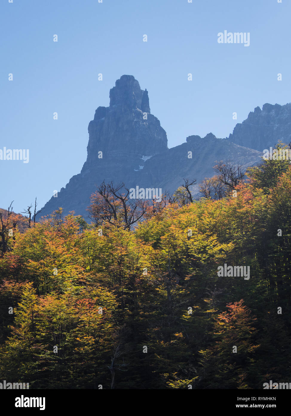 Parc national de Cerro Castillo. L'autoroute austral, Chili, région de Aysen XI. Patagonie Banque D'Images
