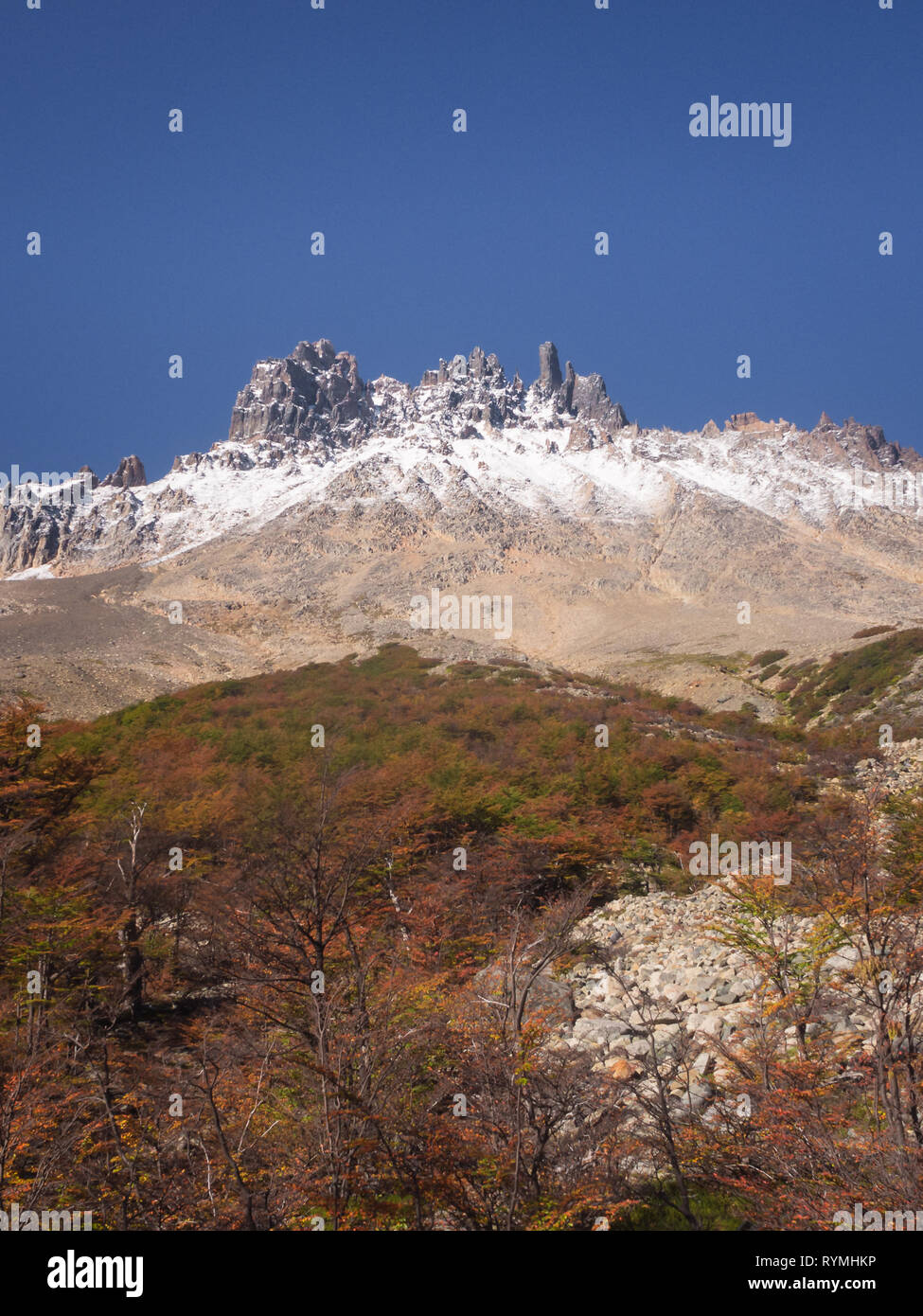 Parc national de Cerro Castillo. L'autoroute austral, Chili, région de Aysen XI. Patagonie Banque D'Images
