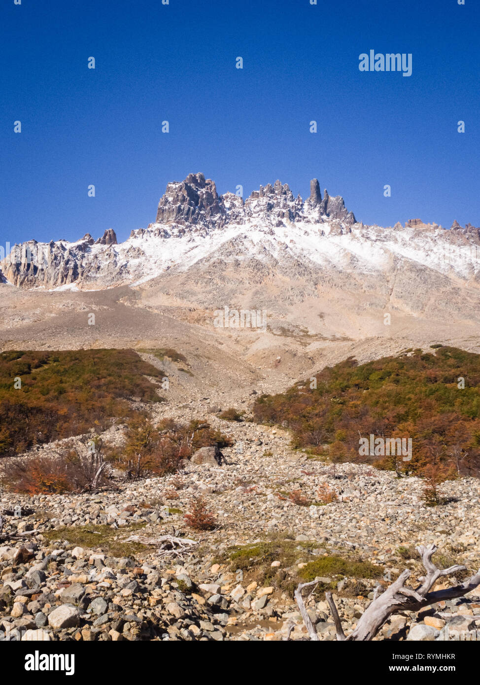 Parc national de Cerro Castillo. L'autoroute austral, Chili, région de Aysen XI. Patagonie Banque D'Images