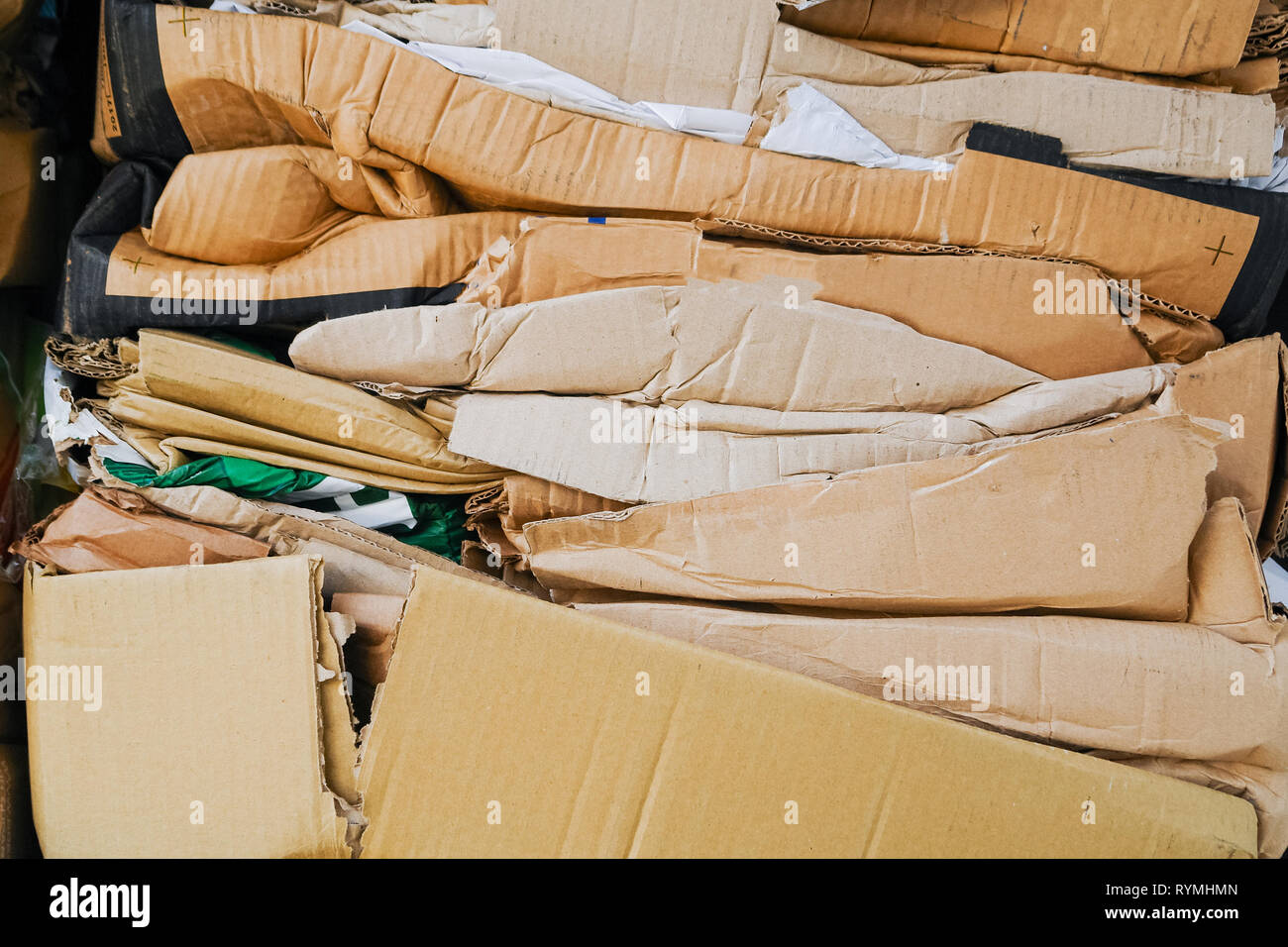 Papier et carton recyclé dans une usine de recyclage Photo Stock - Alamy