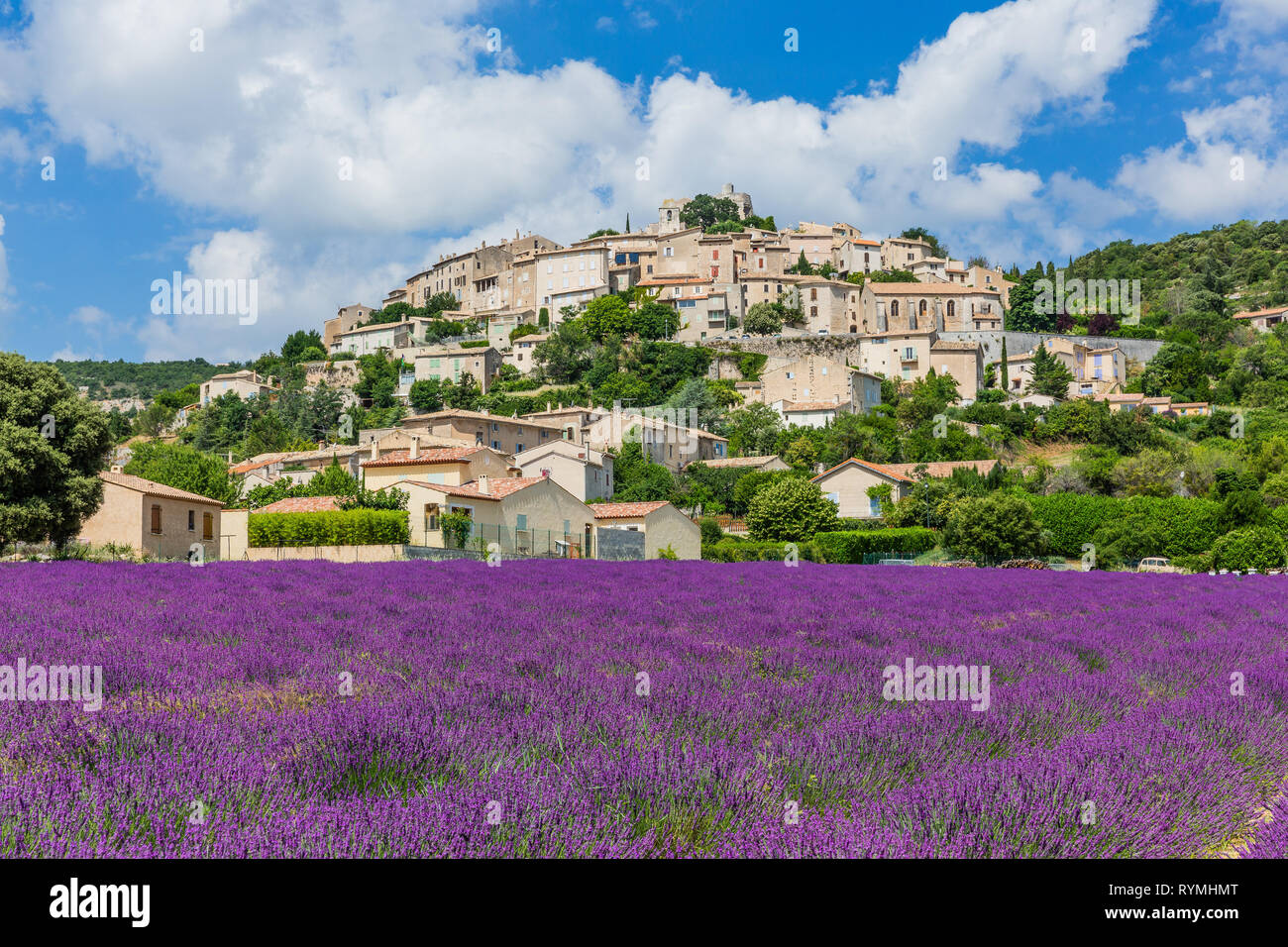 Simiane la Rotonde, France. Village perché en Provence avec les champs de lavande. Banque D'Images