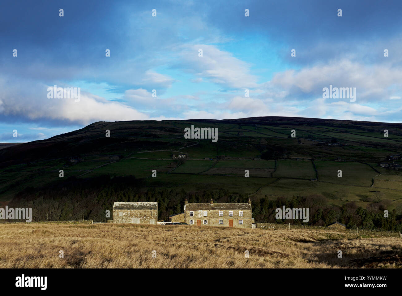 - Ferme - Maisons jaune dans Arkengarthdale, Yorkshire Dales National Park, North Yorkshire, England UK Banque D'Images