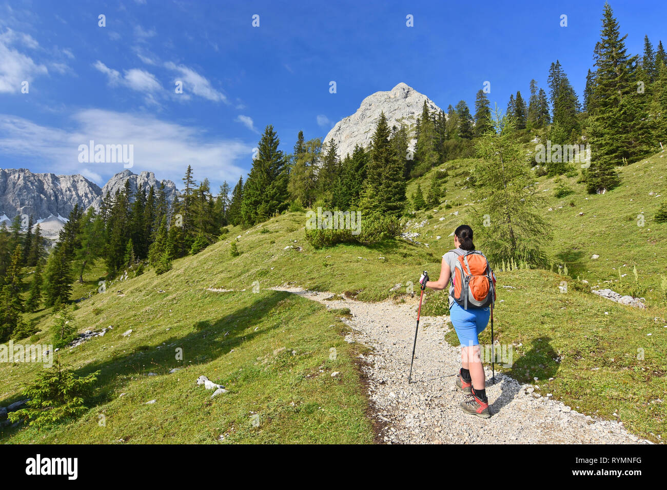 Vue arrière d'un female hiker marcher sur un sentier dans les Alpes, près de Ehrwald, Tyrol, Autriche. Paysage avec de l'herbe, des montagnes rocheuses et de ciel bleu. Banque D'Images