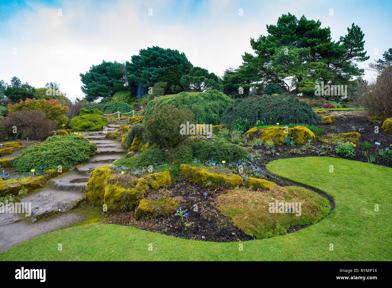 Le jardin de rocaille dans le Royal Botanic Garden Edinburgh, Ecosse, Royaume-Uni Banque D'Images