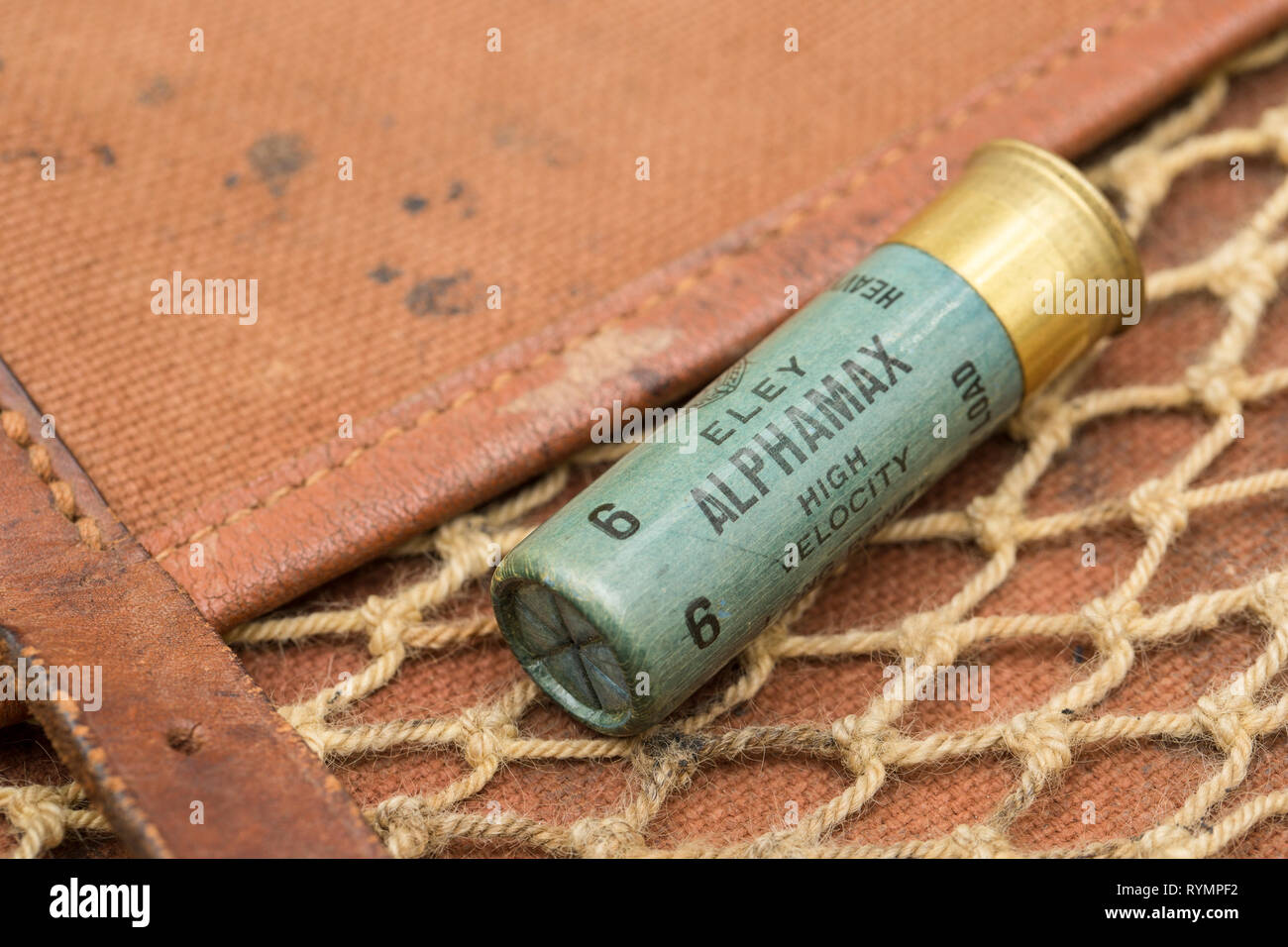 Un vieux papier cased Eley Alphamax high velocity 16-alésage, ou la jauge, cartouche de fusil avec une fermeture serti chargé avec 6 Pas de grenaille de plomb. La collecte shot Banque D'Images