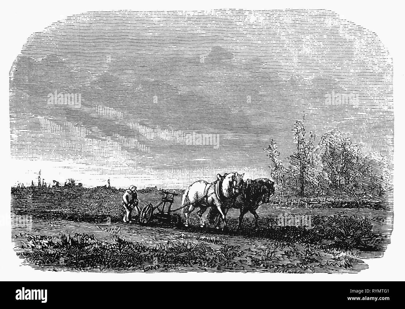 Le printemps arrive et l'avaler la poudre sur l'eau et les mouches dans l'étable pour accrocher son nid et de vieux bois et de chevrons dans les domaines l'agriculteur laboure son champ avec une paire de chevaux. À partir de la Camera Obscura, un 19e siècle Collection d'humour néerlandais-réalistes d'essais, de récits et les croquis dans lequel Hildebrand, l'auteur, prend un regard ironique sur le comportement de la "bien-to-do', les trouvant bourgeois et sans un mot pour eux. Banque D'Images Le printemps arrive et l'avaler la poudre sur l'eau et les mouches dans l'étable pour accrocher son nid et de vieux bois et de chevrons dans les domaines l'agriculteur laboure son champ avec une paire de chevaux. À partir de la Camera Obscura, un 19e siècle Collection d'humour néerlandais-réalistes d'essais, de récits et les croquis dans lequel Hildebrand, l'auteur, prend un regard ironique sur le comportement de la "bien-to-do', les trouvant bourgeois et sans un mot pour eux. Banque D'Images