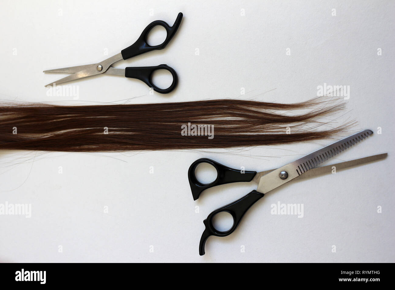 Deux paires de ciseaux de coiffeur avec une mèche de cheveux brune auburn. Des ciseaux sculpteur et coupe à côté de long cheveux bruns reddy Banque D'Images