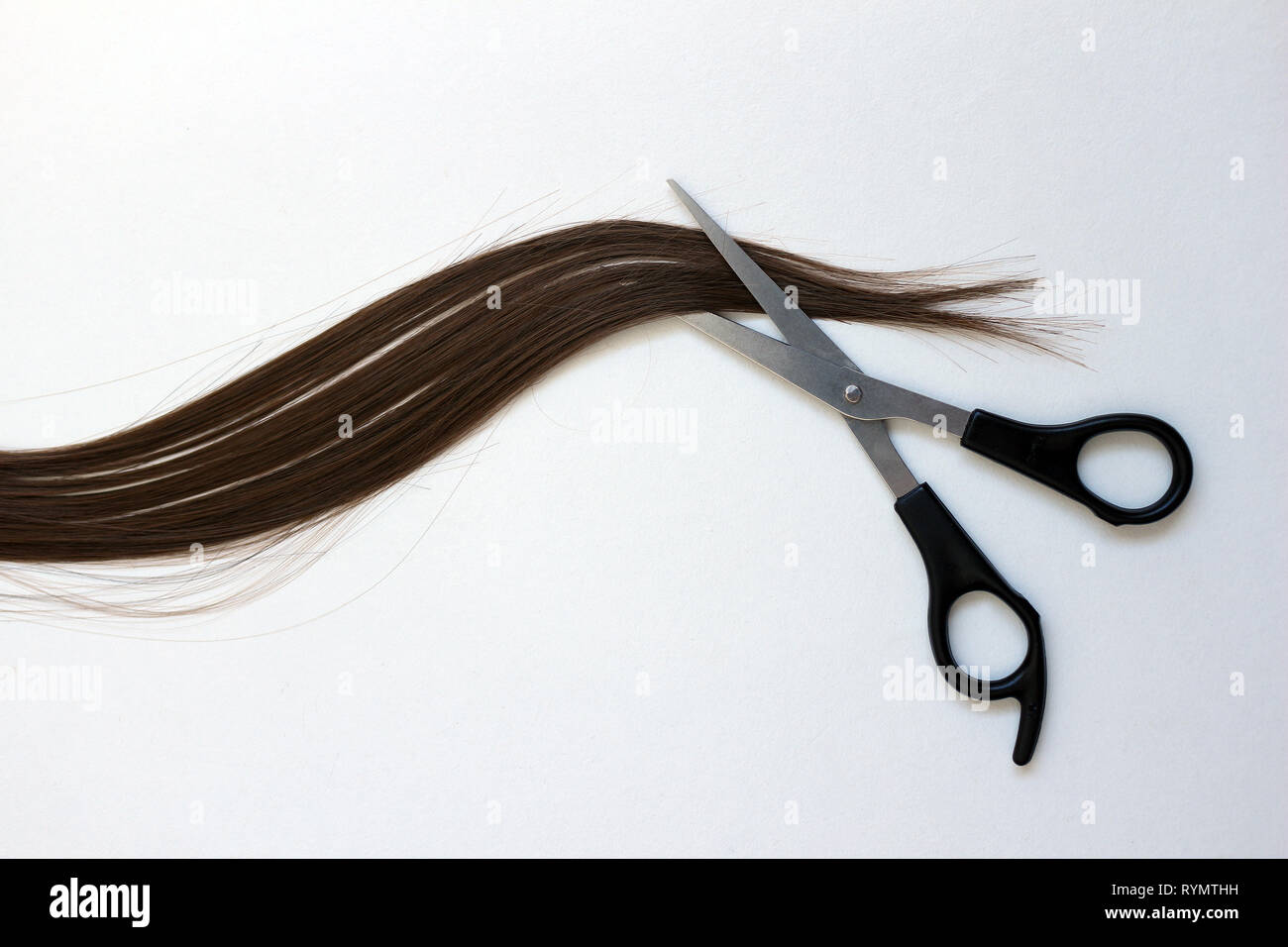Une paire de ciseaux de coiffeur couper une mèche de cheveux brun auburn. Banque D'Images
