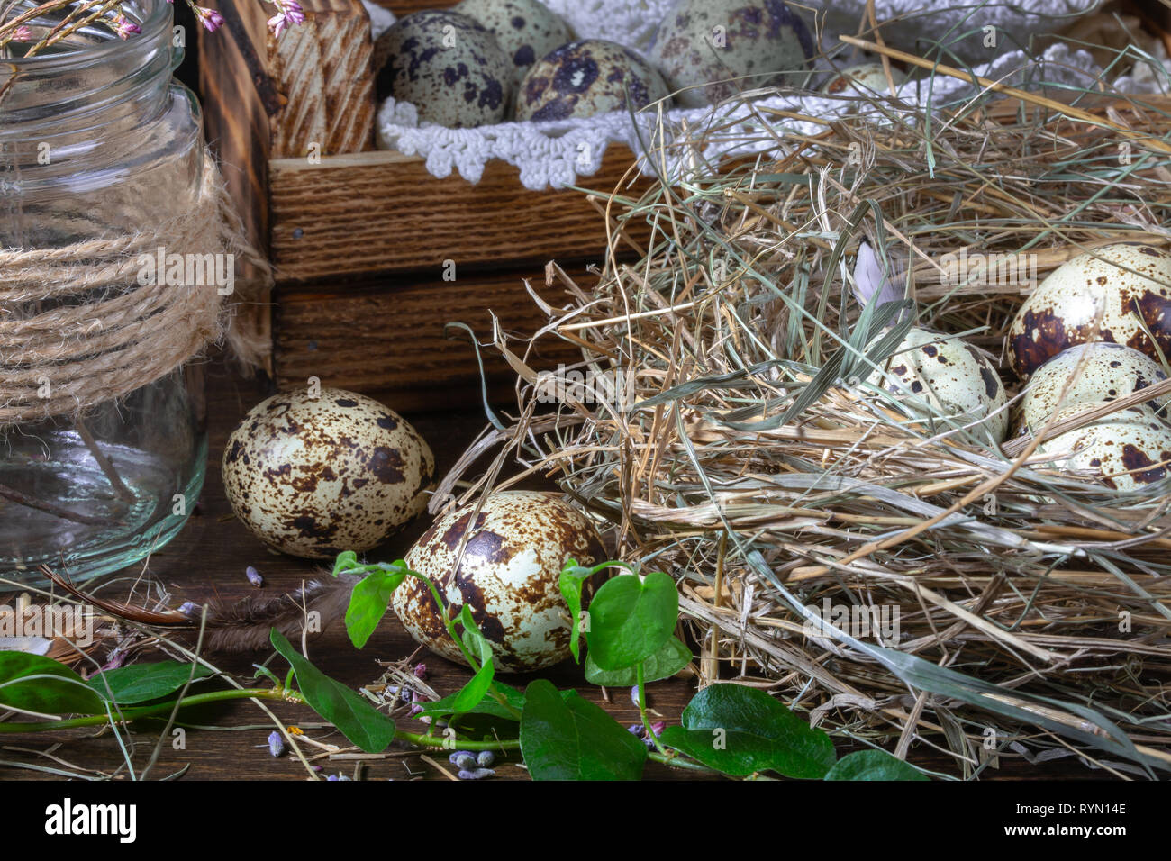 La vie encore mignon avec des oeufs de cailles. Des oeufs de cailles dans le nid et sur la vieille table en bois dans la grange entre objets vintages et de fleurs séchées. Encore Pâques li Banque D'Images