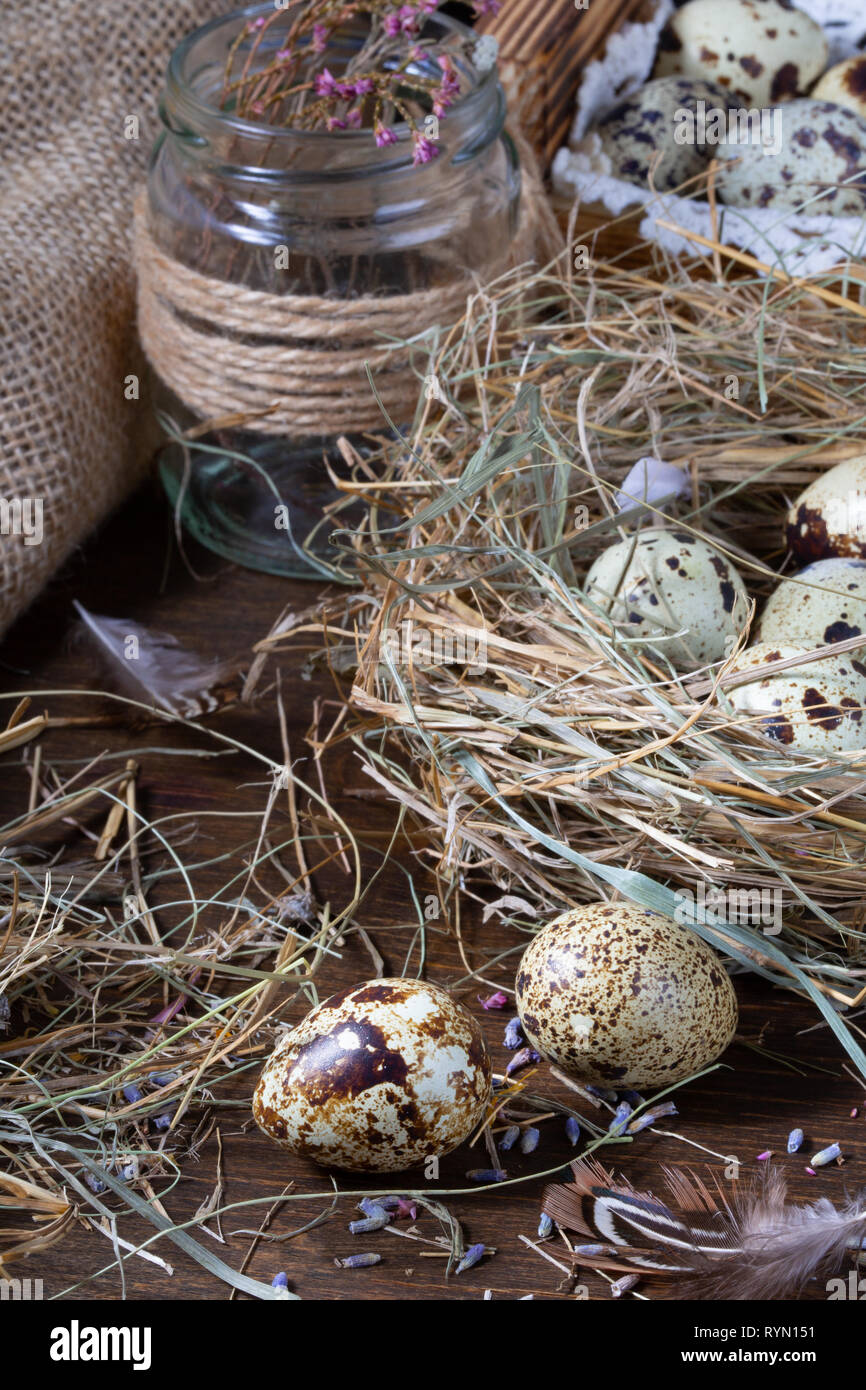 La vie encore mignon avec des oeufs de cailles. Des oeufs de cailles dans le nid et sur la vieille table en bois dans la grange entre objets vintages et de fleurs séchées. Encore Pâques li Banque D'Images