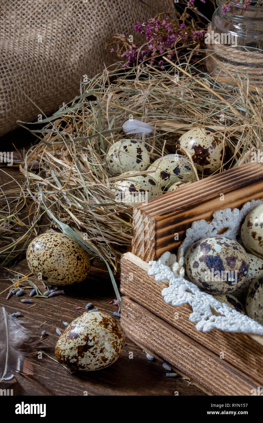 La vie encore mignon avec des oeufs de cailles. Des oeufs de cailles dans le nid et sur la vieille table en bois dans la grange entre objets vintages et de fleurs séchées. Encore Pâques li Banque D'Images