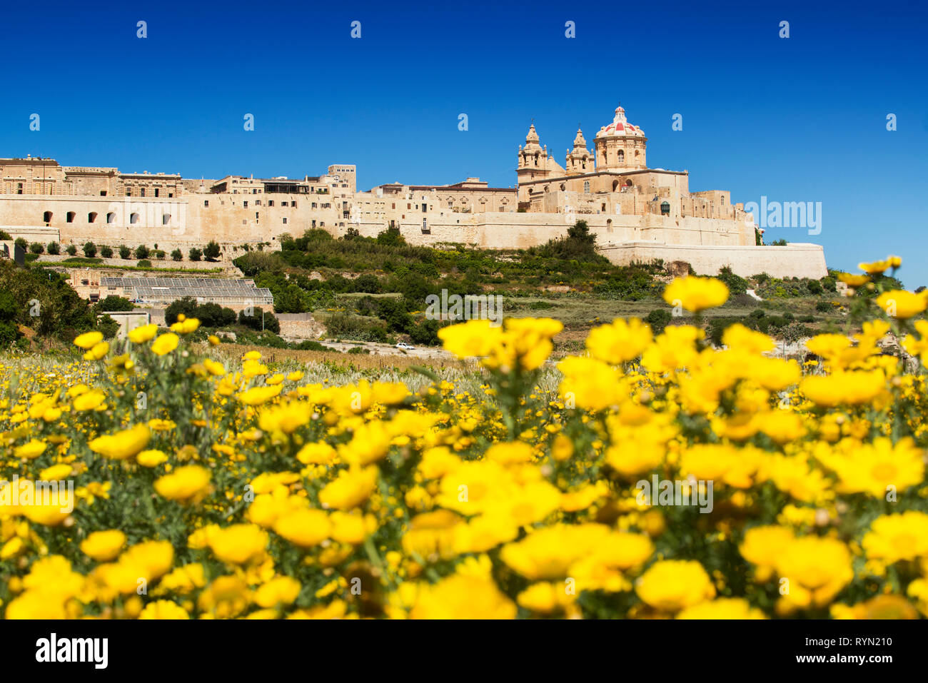 La Cathédrale de Mdina et les murs de la ville, Mdina, Malte, Banque D'Images