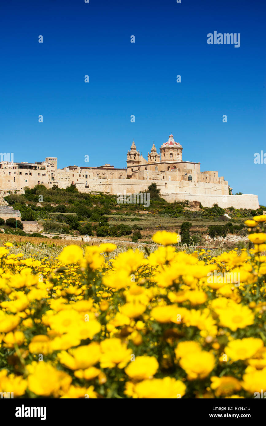 La Cathédrale de Mdina et les murs de la ville, Mdina, Malte, Banque D'Images