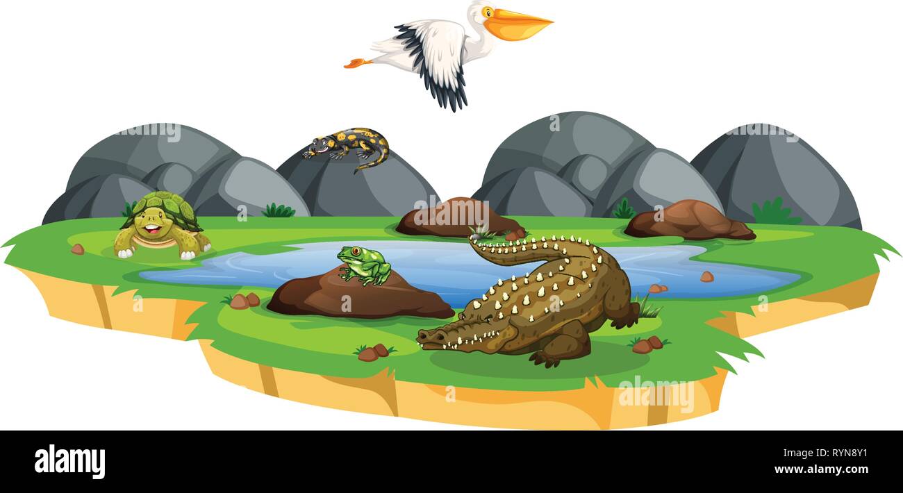 Les animaux près de pond scene illustration Illustration de Vecteur