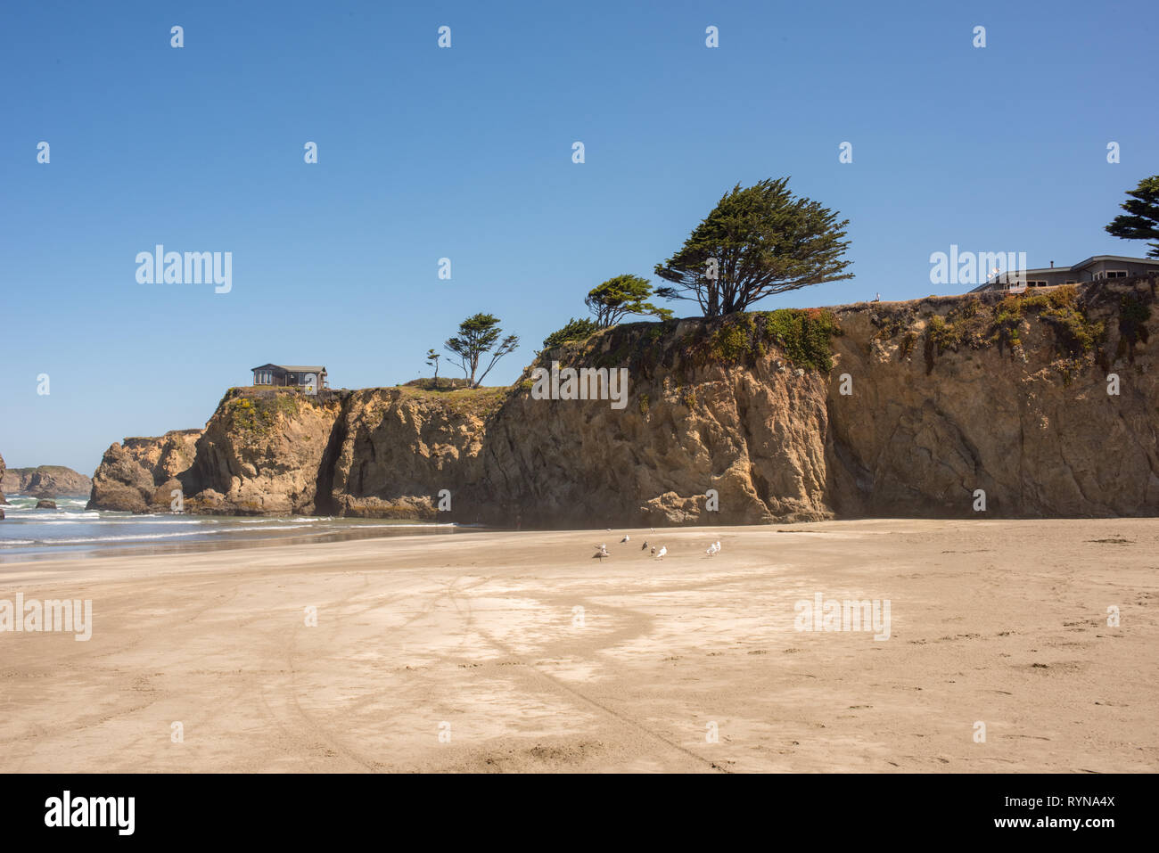 Belle journée d'été à Sand Dollar Beach à Big Sur, en Californie sur l'océan Pacifique. Banque D'Images