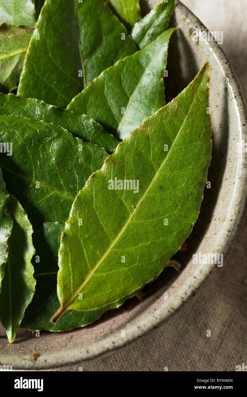 Matières organiques Vert feuilles de laurier avec prêt à cuire Banque D'Images