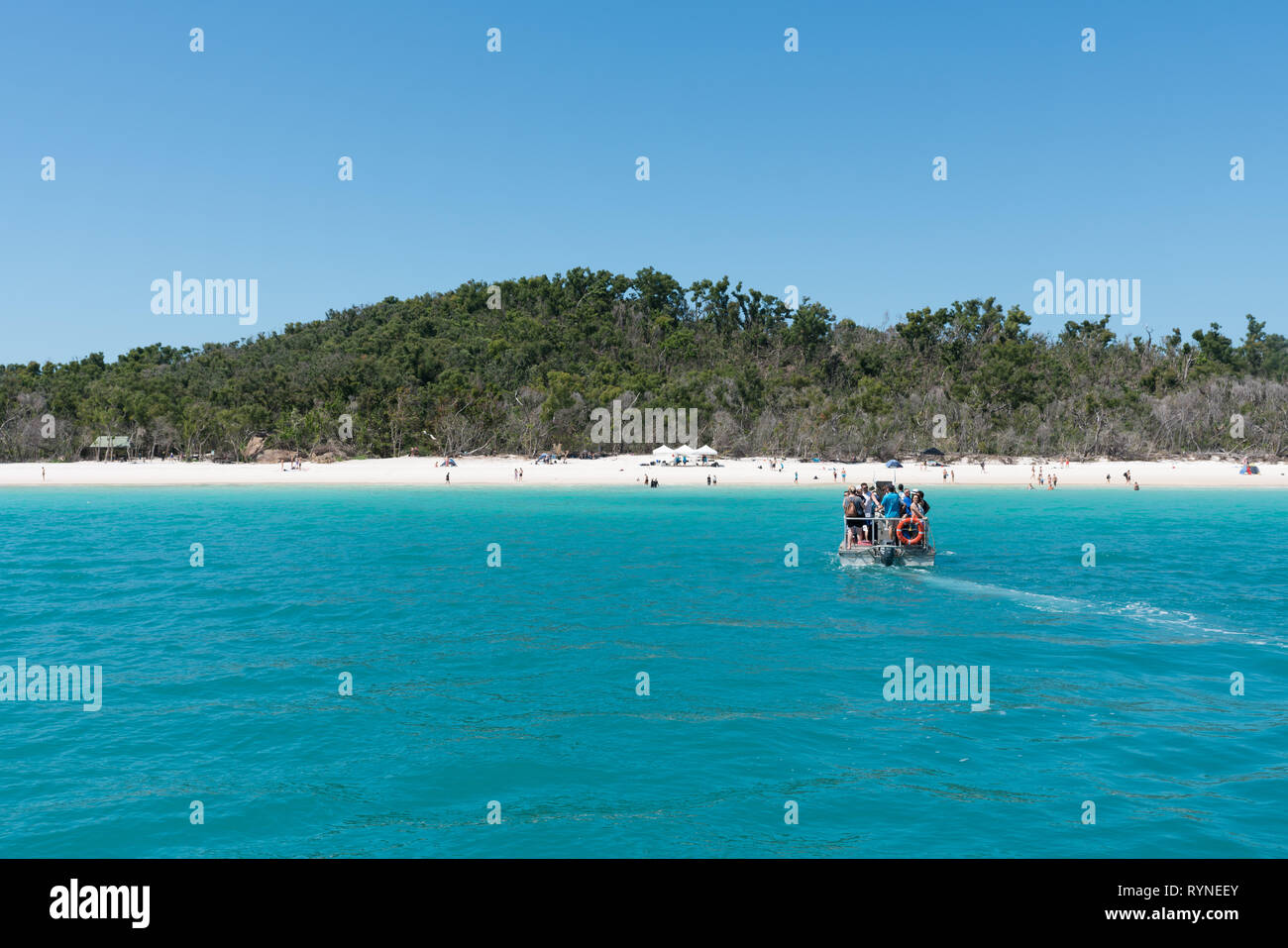 Hamilton Island, Australie - Novembre 7, 2017 : les touristes d'être transportés sur de belles Whitehaven Beach dans les Whitsundays Banque D'Images