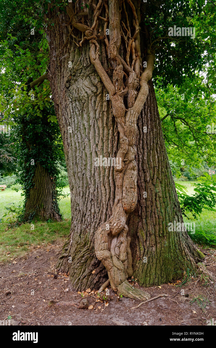 L'abbaye de wienhausen Banque de photographies et d’images à haute