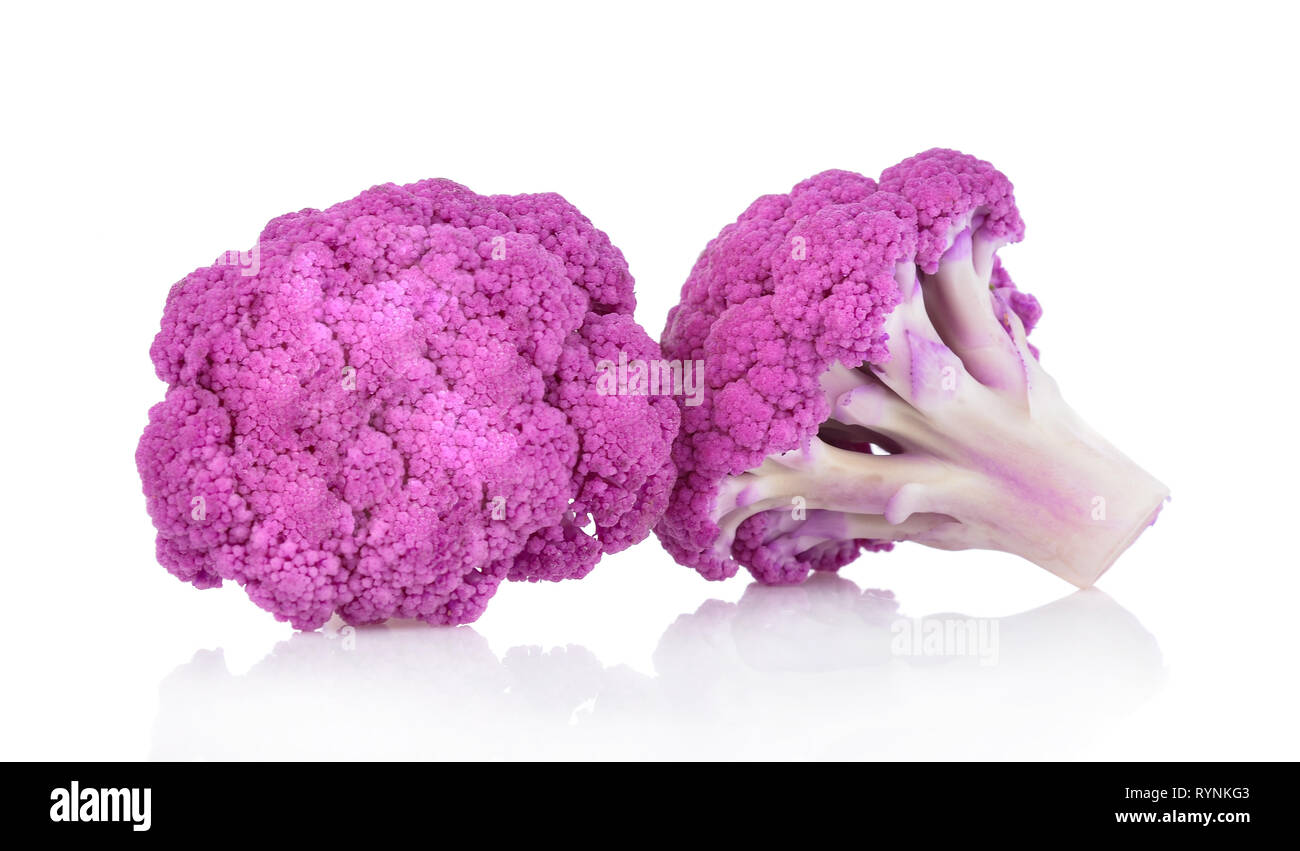 Purple brassica oleracea isolé sur fond blanc Banque D'Images