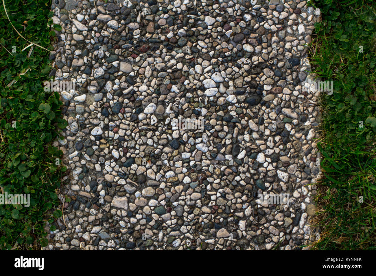 La texture des carreaux de petites pierres et d'herbe verte dans le parc Banque D'Images