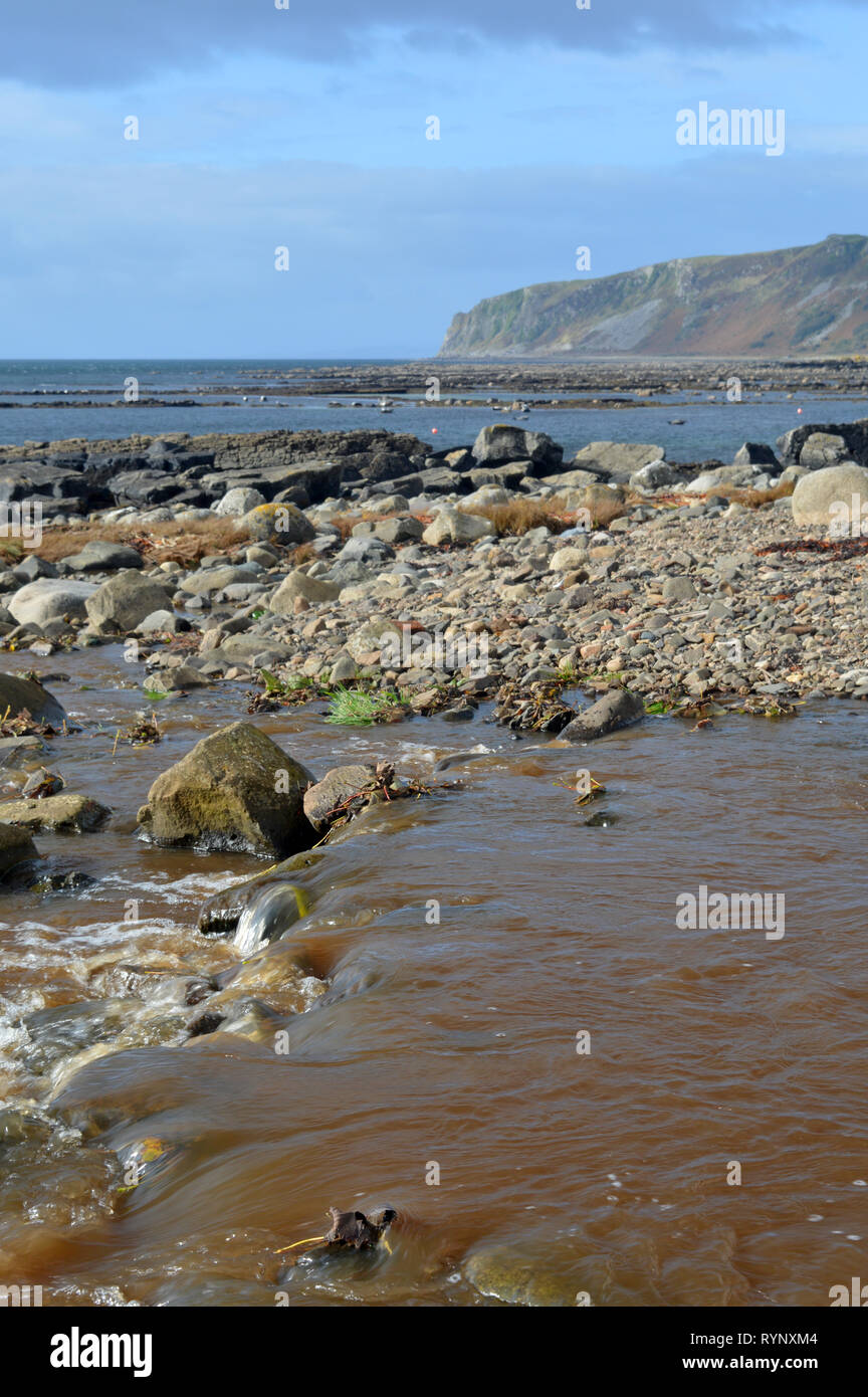 Plage de Kildonan et les phoques se prélassent sur les rochers Isle of Arran Banque D'Images