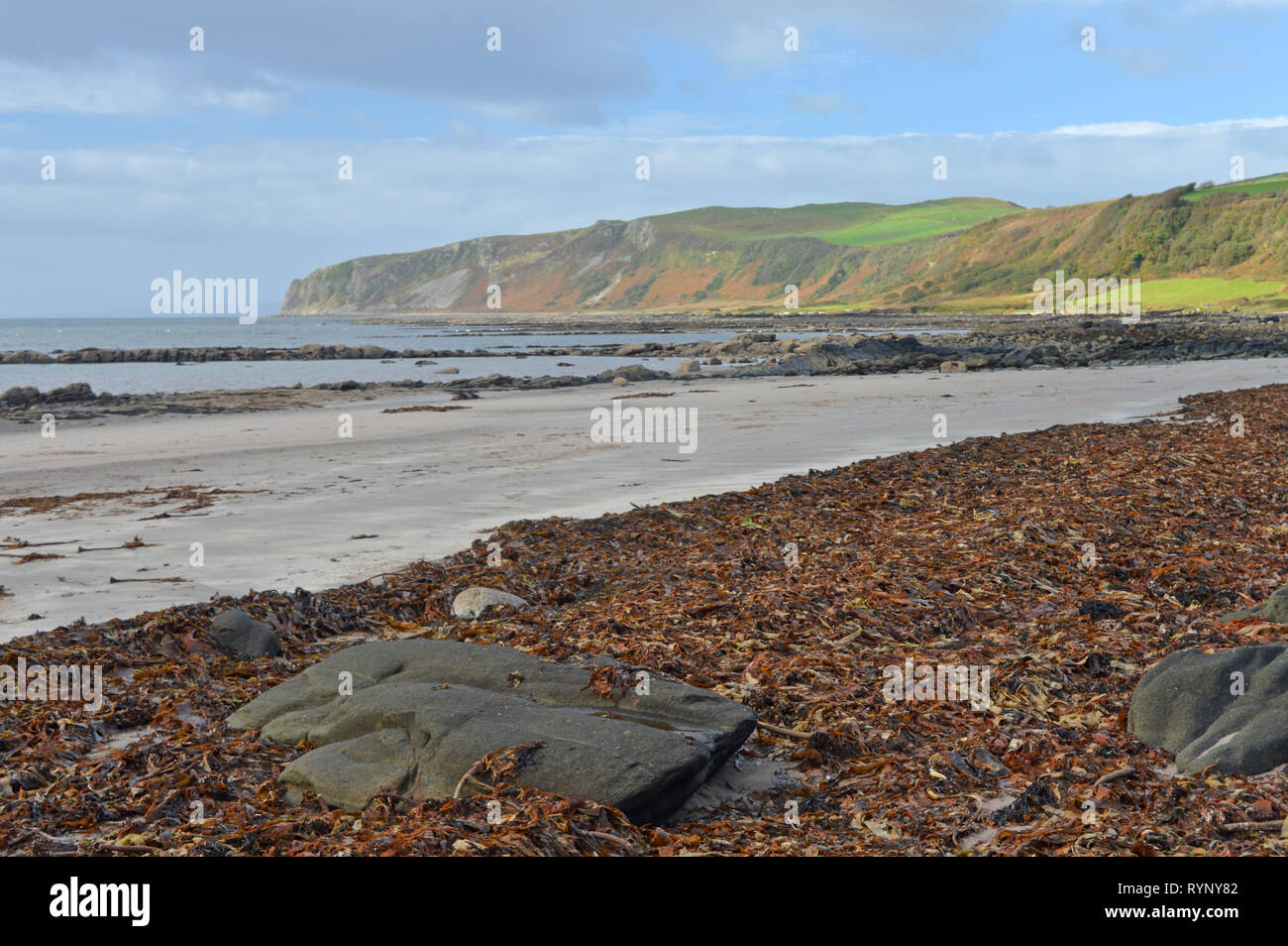 Plage de Kildonan et les phoques se prélassent sur les rochers Isle of Arran Banque D'Images