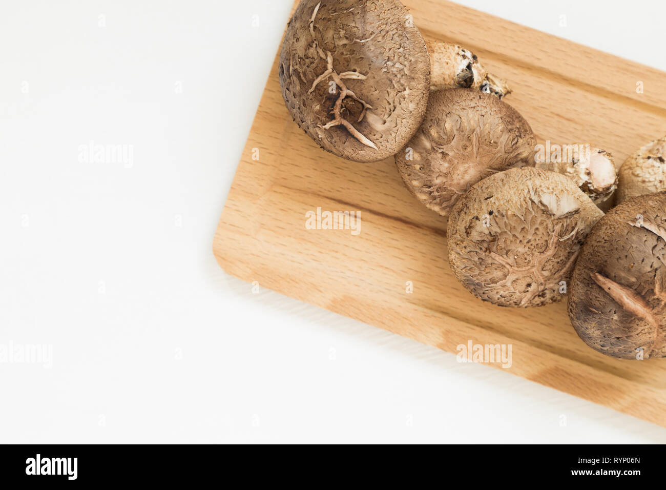 Les champignons frais sur plateau en bois isolé sur fond blanc Banque D'Images