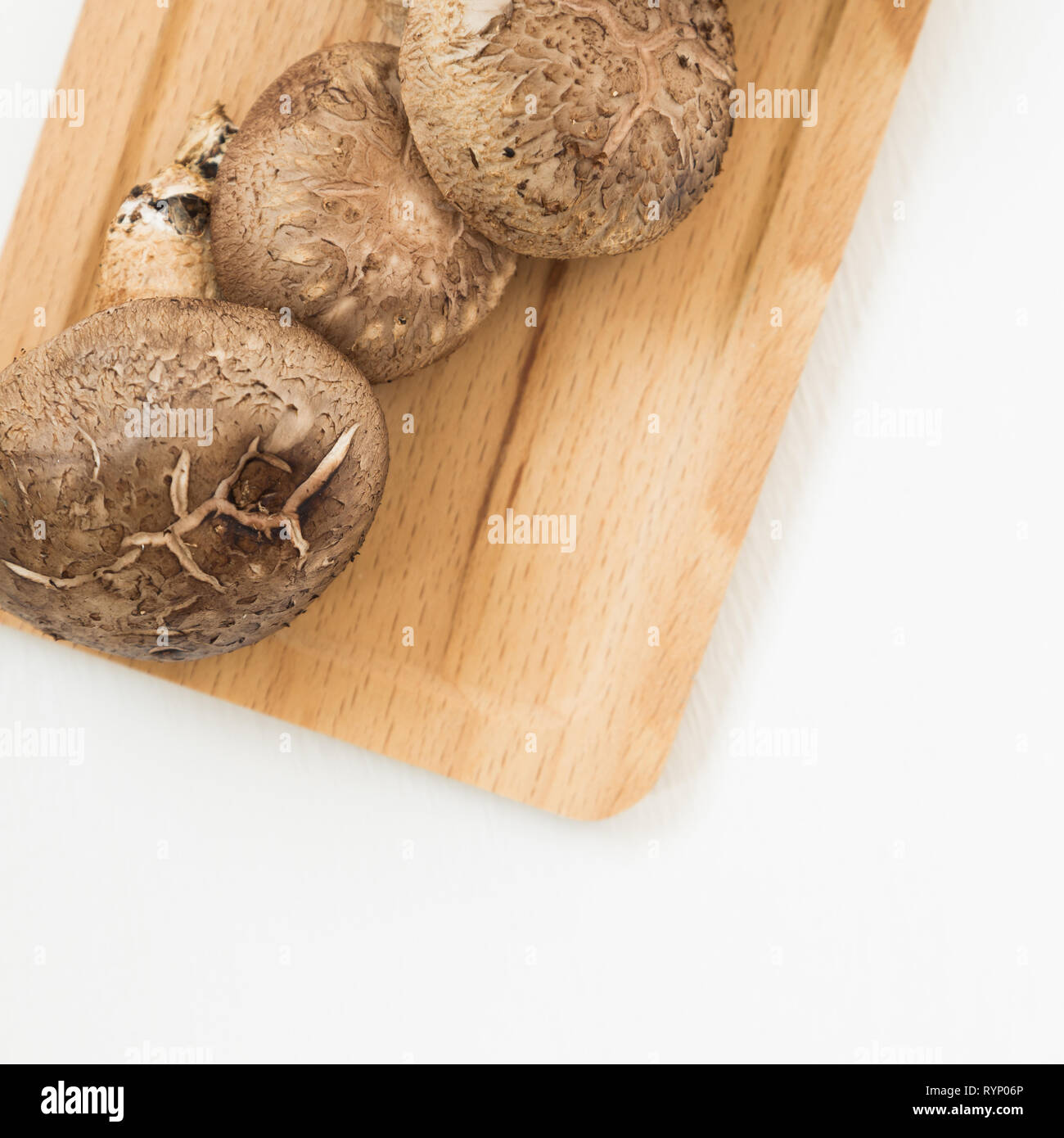 Les champignons frais sur plateau en bois isolé sur fond blanc Banque D'Images