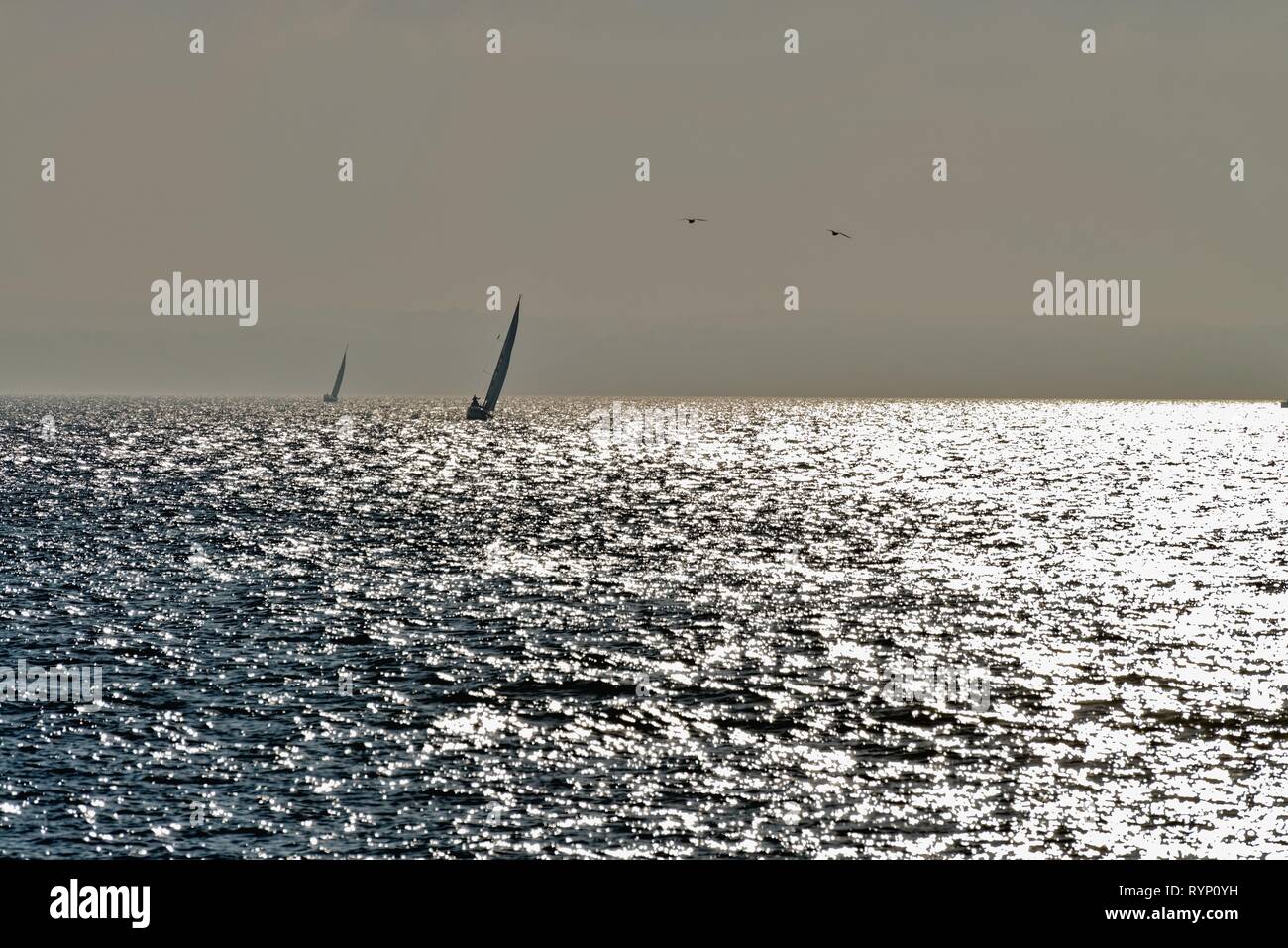 Silhouette d'un voilier naviguant sur le Solent à Portsmouth, Hampshire contre la réflexion de la lumière du soleil sur la mer, en Angleterre, Royaume-Uni Banque D'Images