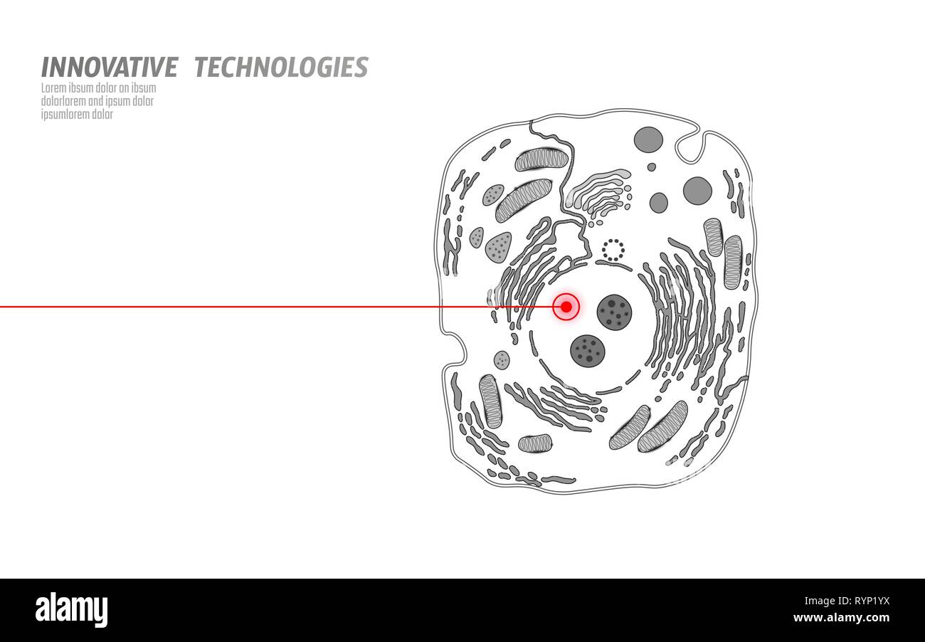 Cellule animale microscopique. Modification de la thérapie génique humaine OGM L'ingénierie. Régime blanc vecteur illutration laser rouge Illustration de Vecteur