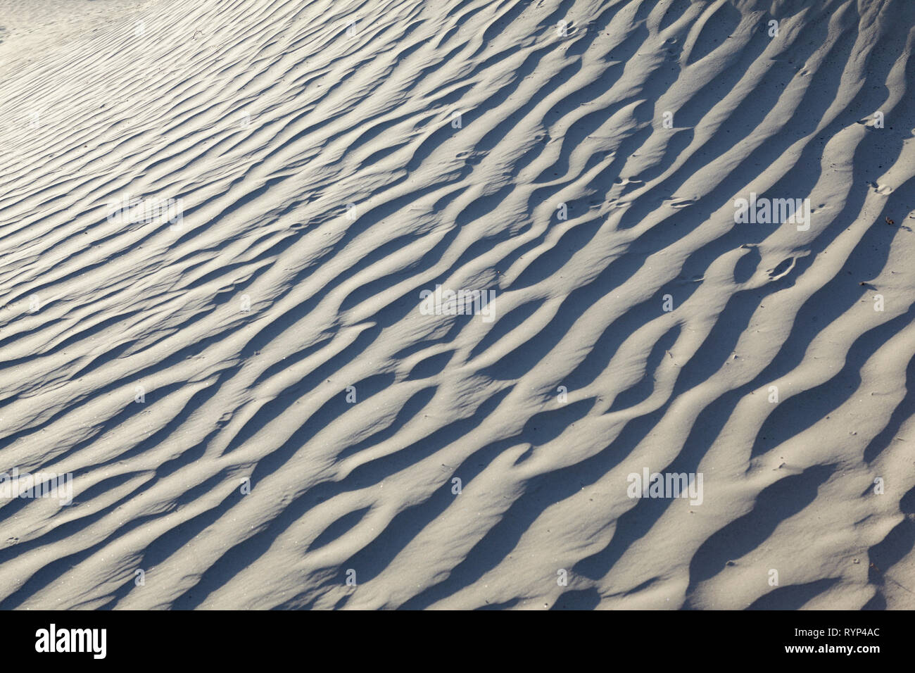 Mesquite Sand Dunes, Death Valley, Californie, USA. Banque D'Images