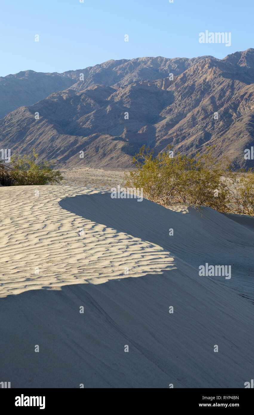 Mesquite Sand Dunes, Death Valley, Californie, USA. Banque D'Images