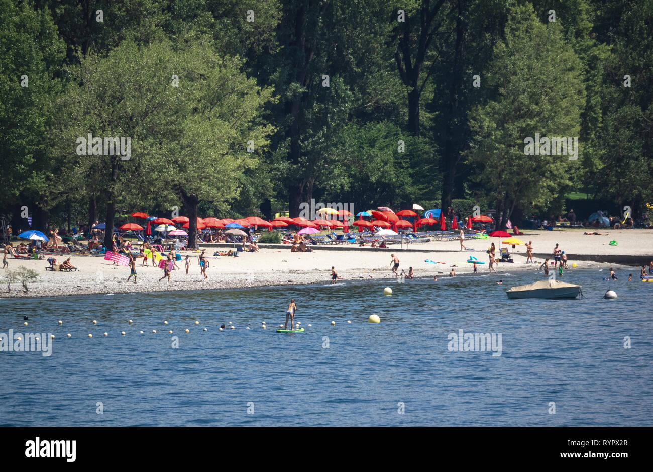 L'eau bleu et une végétation luxuriante dans un très populaire plage de Lago Maggiore. Italie Banque D'Images