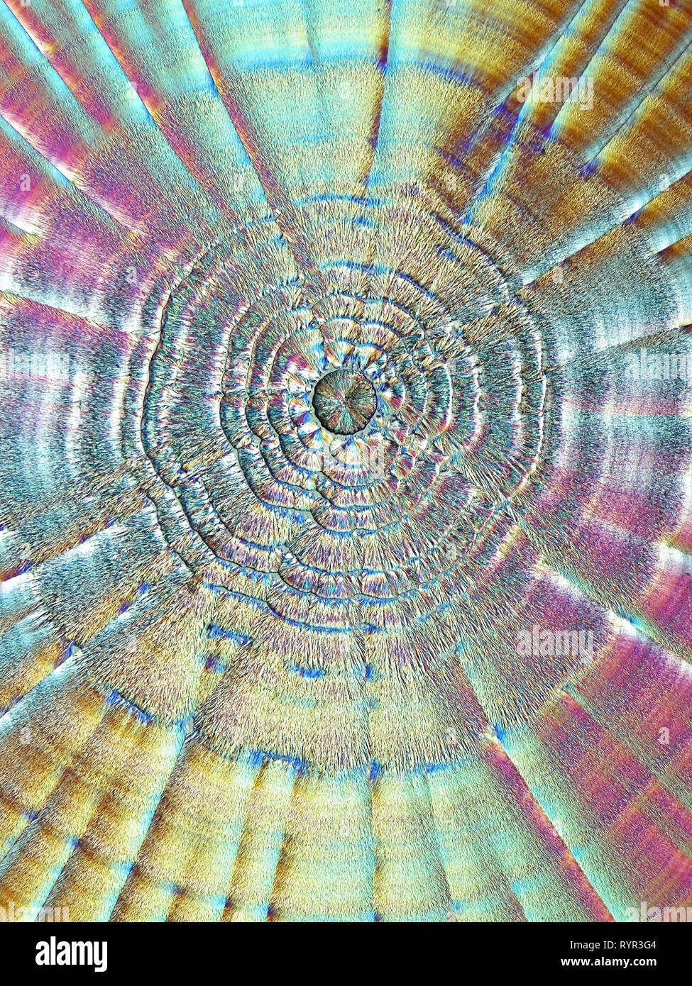 L'art chimique il s'agit d'acide ascorbique, communément connu sous le nom de vitamine C, photographié cristalisée Banque D'Images