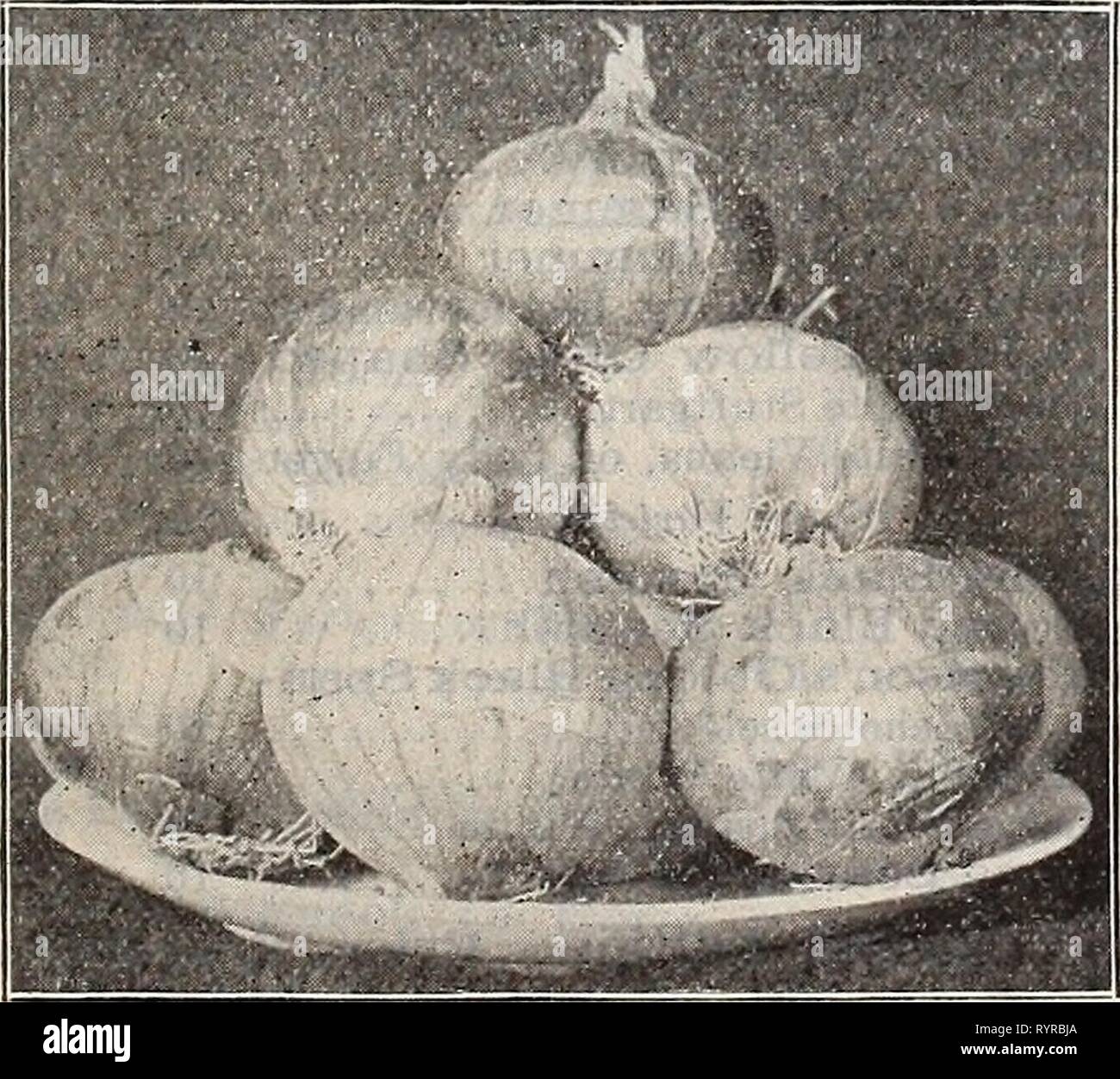 Dreer's quarterly Liste des prix de gros Dreer's quarterly Liste des prix de gros : plantes graines bulbes engrais outils divers &c . dreersquarterlyw1897henr Année : 1897 Drear's Hollow cultivé:fa ?ifcfg J panais. Oz. L'amélioration de Hollow cultivé, sélectionné 5 étudiant ou Guernesey 5 persil. Oz. La moitié gondolées, meilleures pour l'été 10 Extra Nain gondolé 10 Moss Champion 10 gondolé de poivre. Oz. Grand Bell, Bull ou nez, S. J. stock 15 Grand sweet Spanish 20 King 20 rubis rouge longue de Cayenne. 20 POIS. L'utilisation des variétés précoces. Qt. Dreer's Extra early pioneer. 2 bus. $7.50 20 Dreer Eureka's plus tôt. 2 bus. $7.50 20 Améliorer Banque D'Images