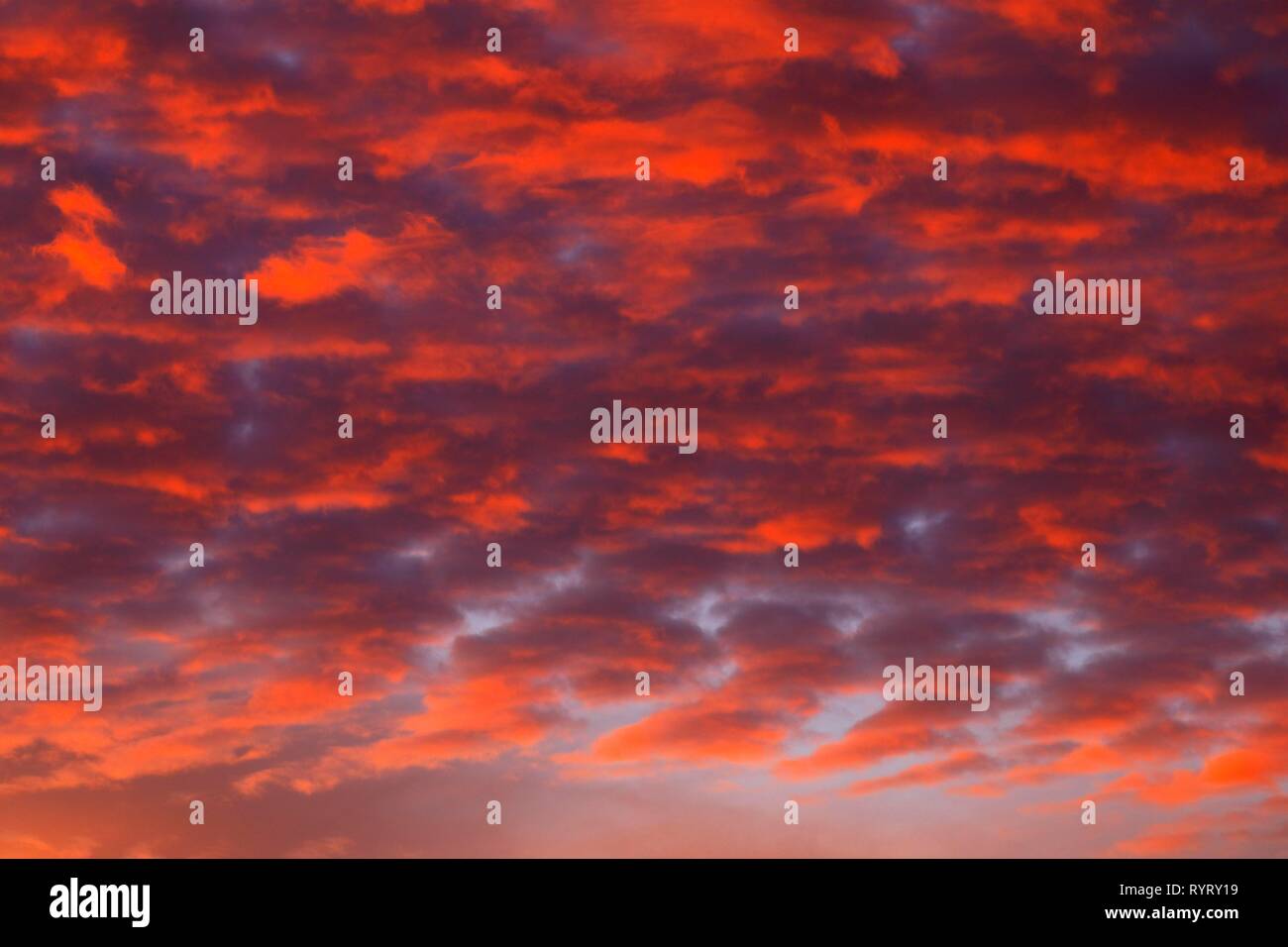 Ciel nuageux rouge au coucher du soleil, Schleswig-Holstein, Allemagne Banque D'Images