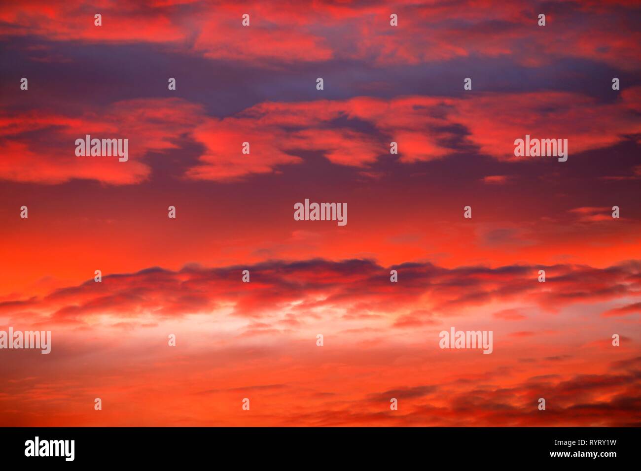 Ciel nuage rouge au coucher du soleil, coucher du soleil, Schleswig-Holstein, Allemagne Banque D'Images