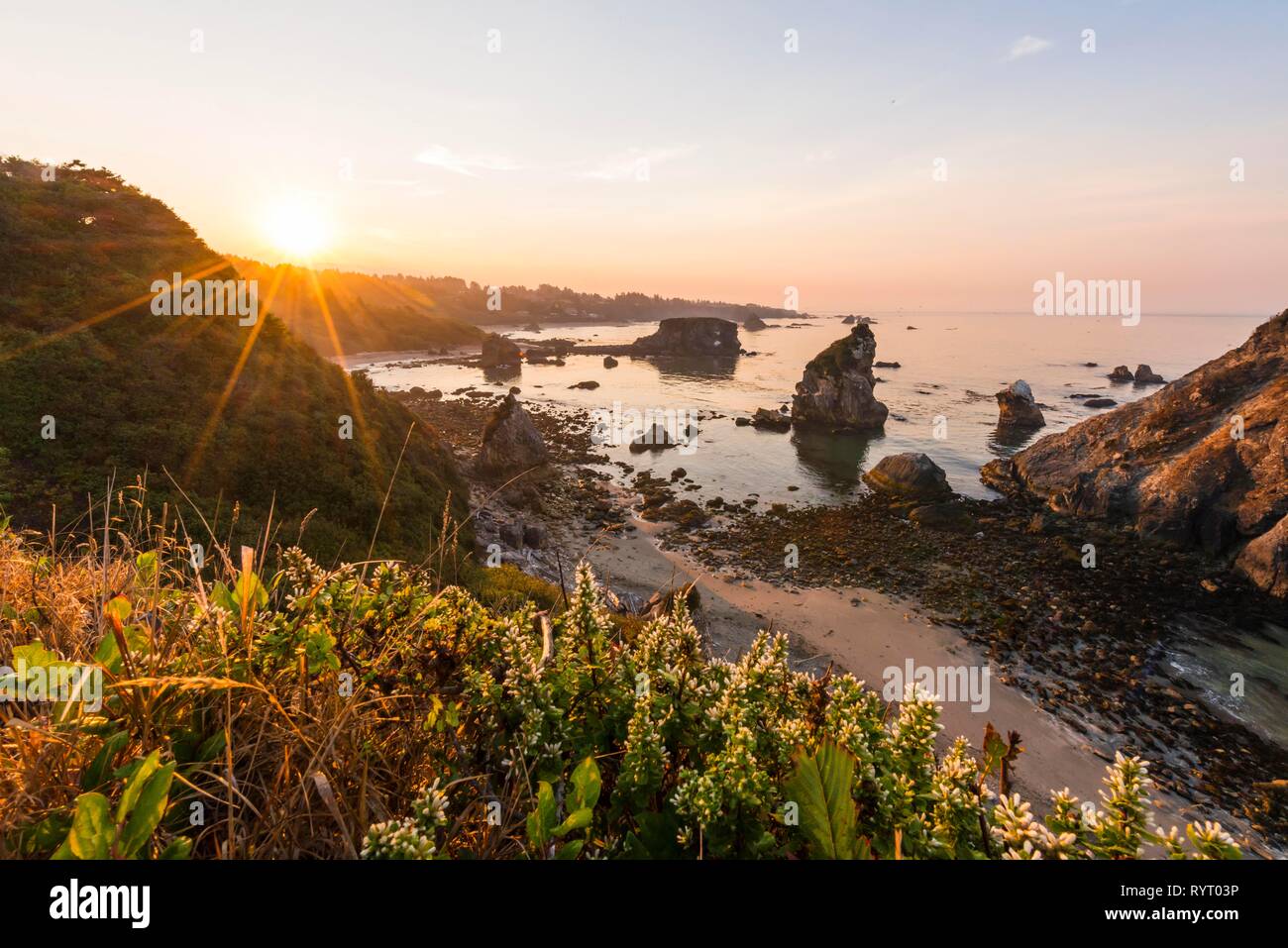 Le lever du soleil, paysage côtier robuste avec de nombreuses îles rocheuses, Harris Beach State Park, Oregon, USA Banque D'Images