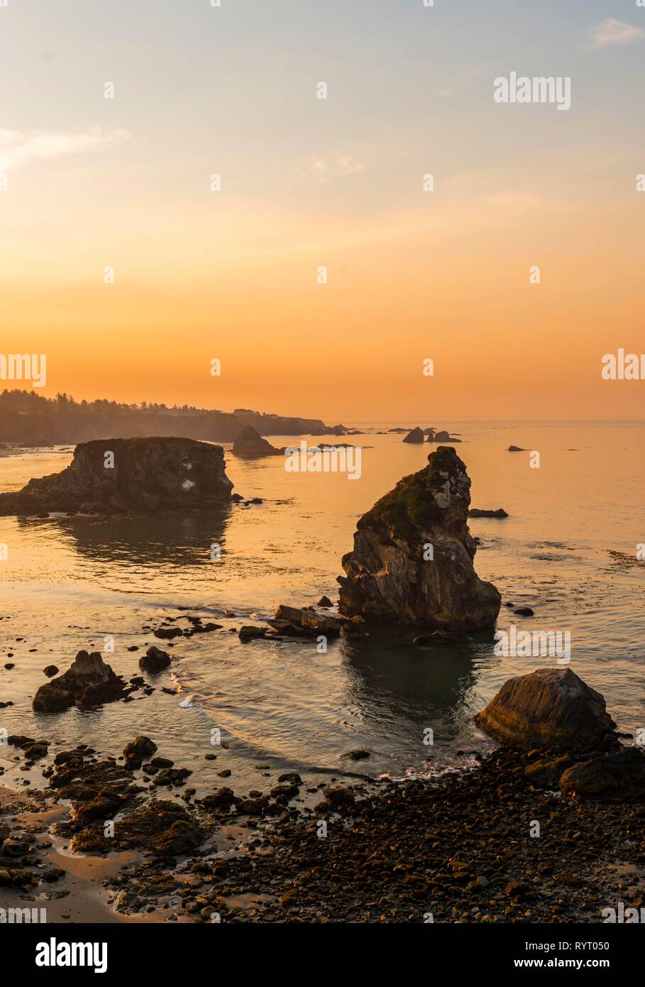 Le lever du soleil, paysage côtier robuste avec de nombreuses îles rocheuses, Harris Beach State Park, Oregon, USA Banque D'Images