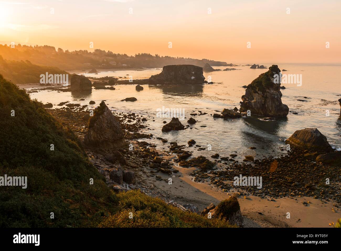 Le lever du soleil, paysage côtier robuste avec de nombreuses îles rocheuses, Harris Beach State Park, Oregon, USA Banque D'Images