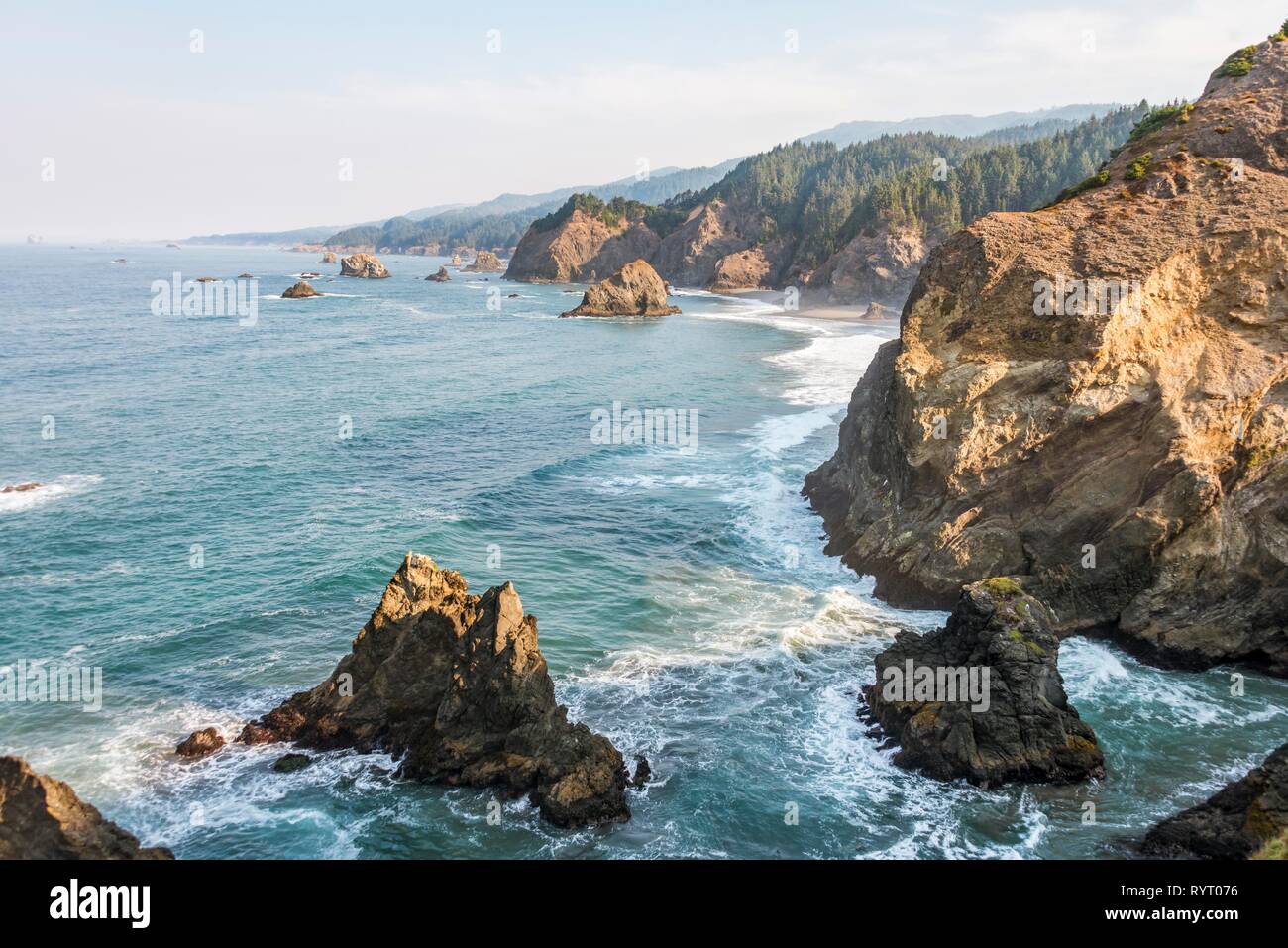 Paysage côtier avec des rochers escarpés, Samuel H. Boardman State Scenic Corridor, Indian Sands Trail, Oregon, USA Banque D'Images