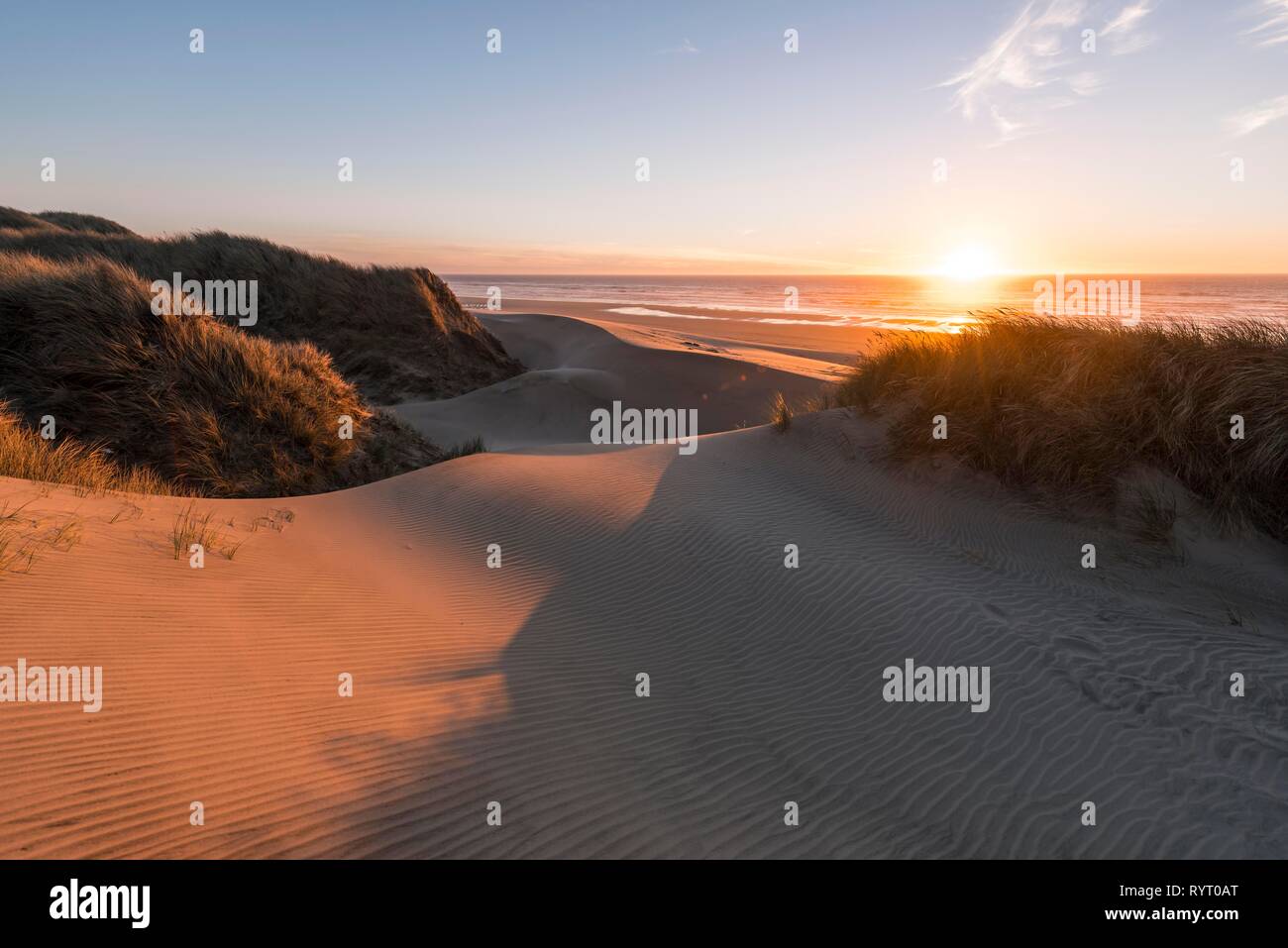 Coucher de soleil, plage de sable avec des dunes de sable de la côte, l'Aulne Dune, Baker Beach, point de vue Holman Vista, California, USA Banque D'Images
