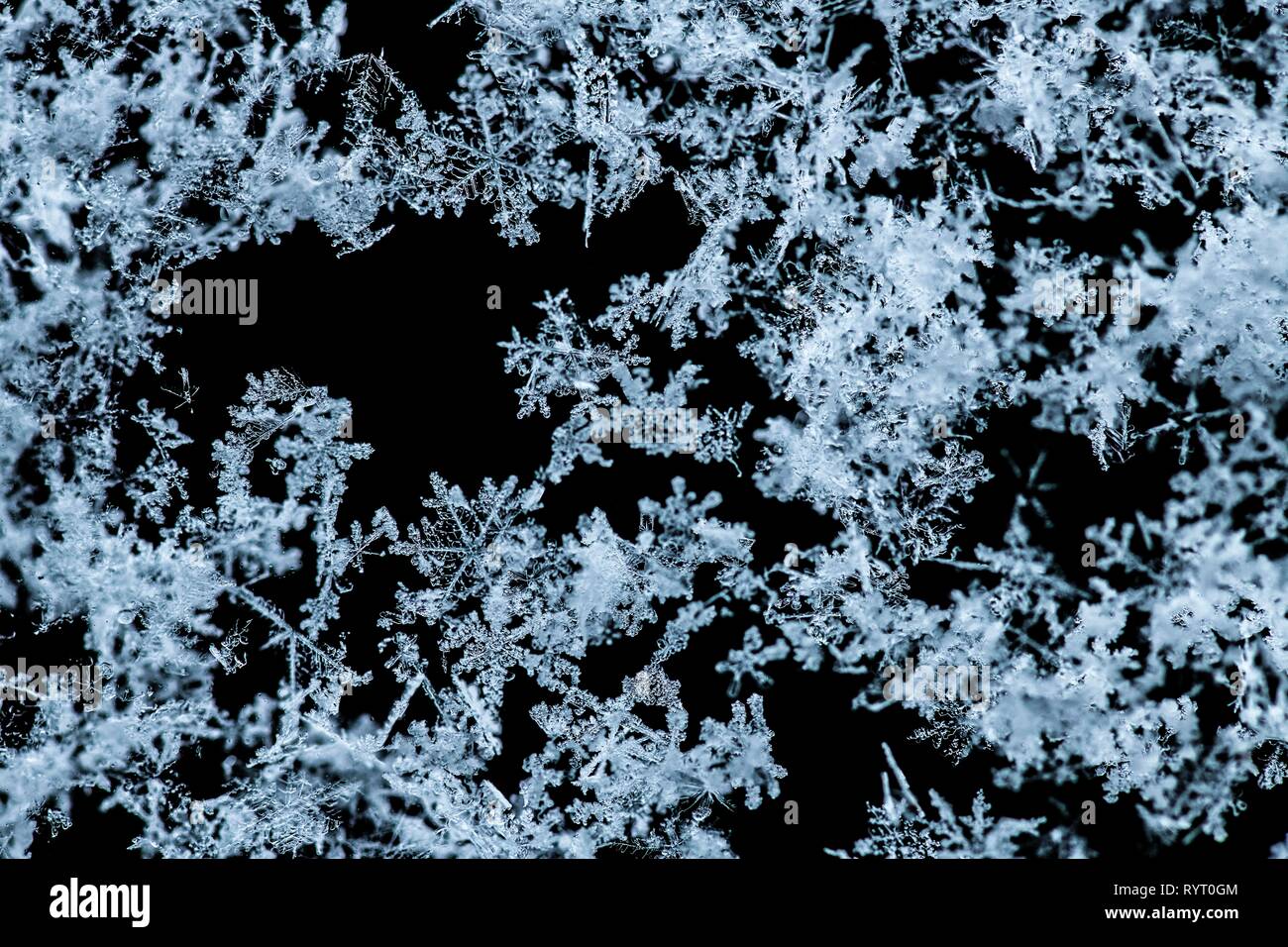 Les flocons de neige, les cristaux de glace sur un fond sombre, Bavière, Allemagne Banque D'Images