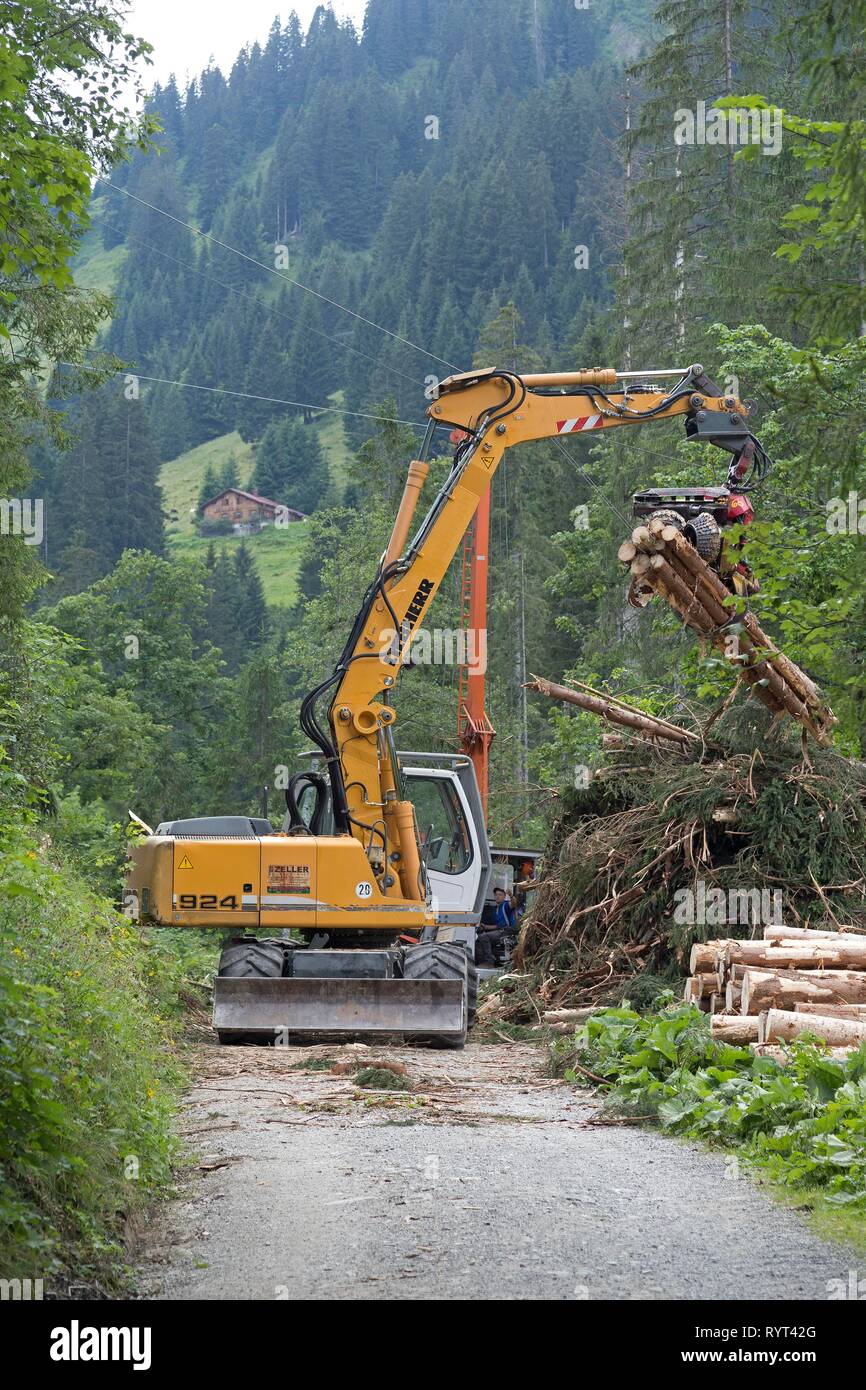 L'abattage des arbres avec un excavateur, Kleinwalsertal, Autriche Banque D'Images