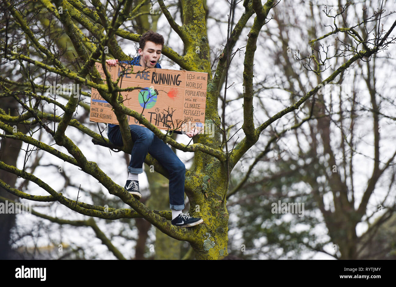 Brighton, UK. Mar 15, 2019. Un étudiant grimpe dans un arbre pour faire un point comme des milliers d'étudiants et écoliers parents mars à Brighton en tant qu'elles participent dans la deuxième grève de la jeunesse 4 Climat protester aujourd'hui dans le cadre d'une journée d'action mondiale. Des milliers d'étudiants et écoliers sont mis à aller en grève à 11h00 aujourd'hui dans le cadre d'une action globale de la jeunesse contre le changement climatique Crédit : Simon Dack/Alamy Live News Banque D'Images