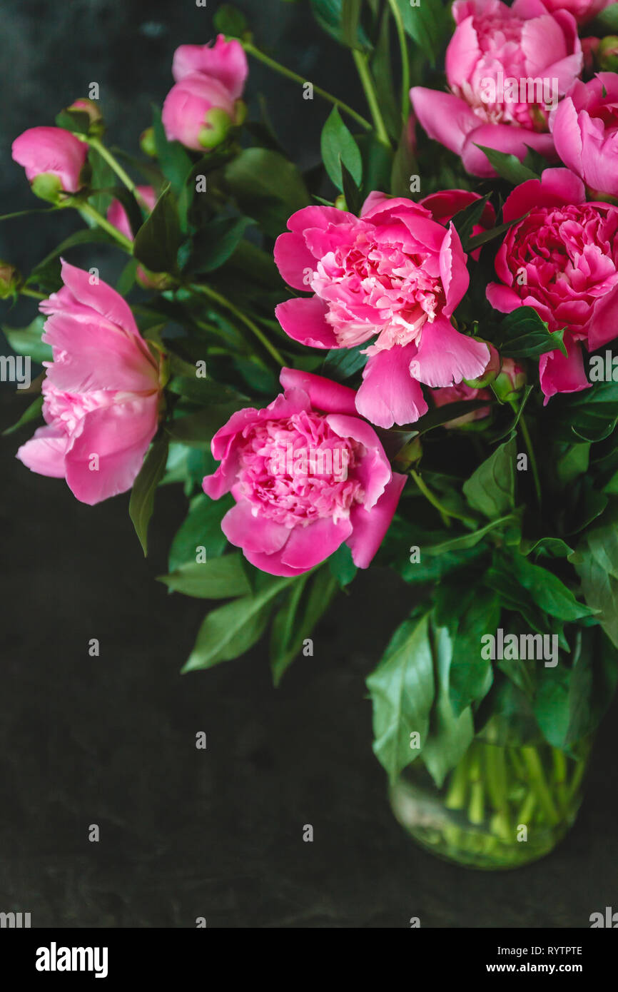 Bouquet de pivoines rose-mauve dans un vase sur un fond sombre. Banque D'Images