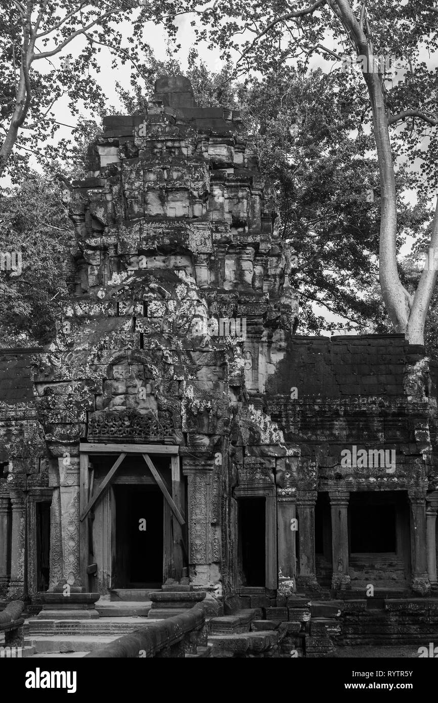 Gopura ouest entrée du temple intérieur, Ta Prohm, Angkor, Siem Reap, Cambodge Banque D'Images
