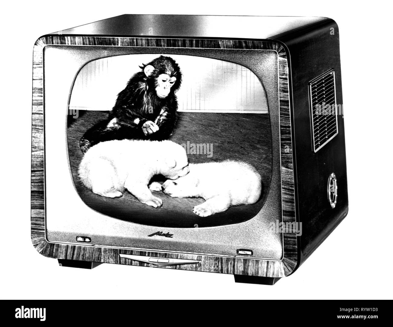La diffusion, la télévision, téléviseur Metz 922 / 962, l'Allemagne, 1958, Table, table, moniteur, moniteurs, écran, écrans, animaux, animal, chien, chiens, singes, singe, Technics, l'industrie, de l'industrie, de l'électronique grand public, l'électronique de divertissement, d'appareils électroniques, de divertissement au foyer, l'Allemagne, 20e siècle, années 50, télévision, TV, TV, télévision, TV, téléviseurs, historique, historique, Additional-Rights Clearance-Info-Not-Available- Banque D'Images La diffusion, la télévision, téléviseur Metz 922 / 962, l'Allemagne, 1958, Table, table, moniteur, moniteurs, écran, écrans, animaux, animal, chien, chiens, singes, singe, Technics, l'industrie, de l'industrie, de l'électronique grand public, l'électronique de divertissement, d'appareils électroniques, de divertissement au foyer, l'Allemagne, 20e siècle, années 50, télévision, TV, TV, télévision, TV, téléviseurs, historique, historique, Additional-Rights Clearance-Info-Not-Available- Banque D'Images