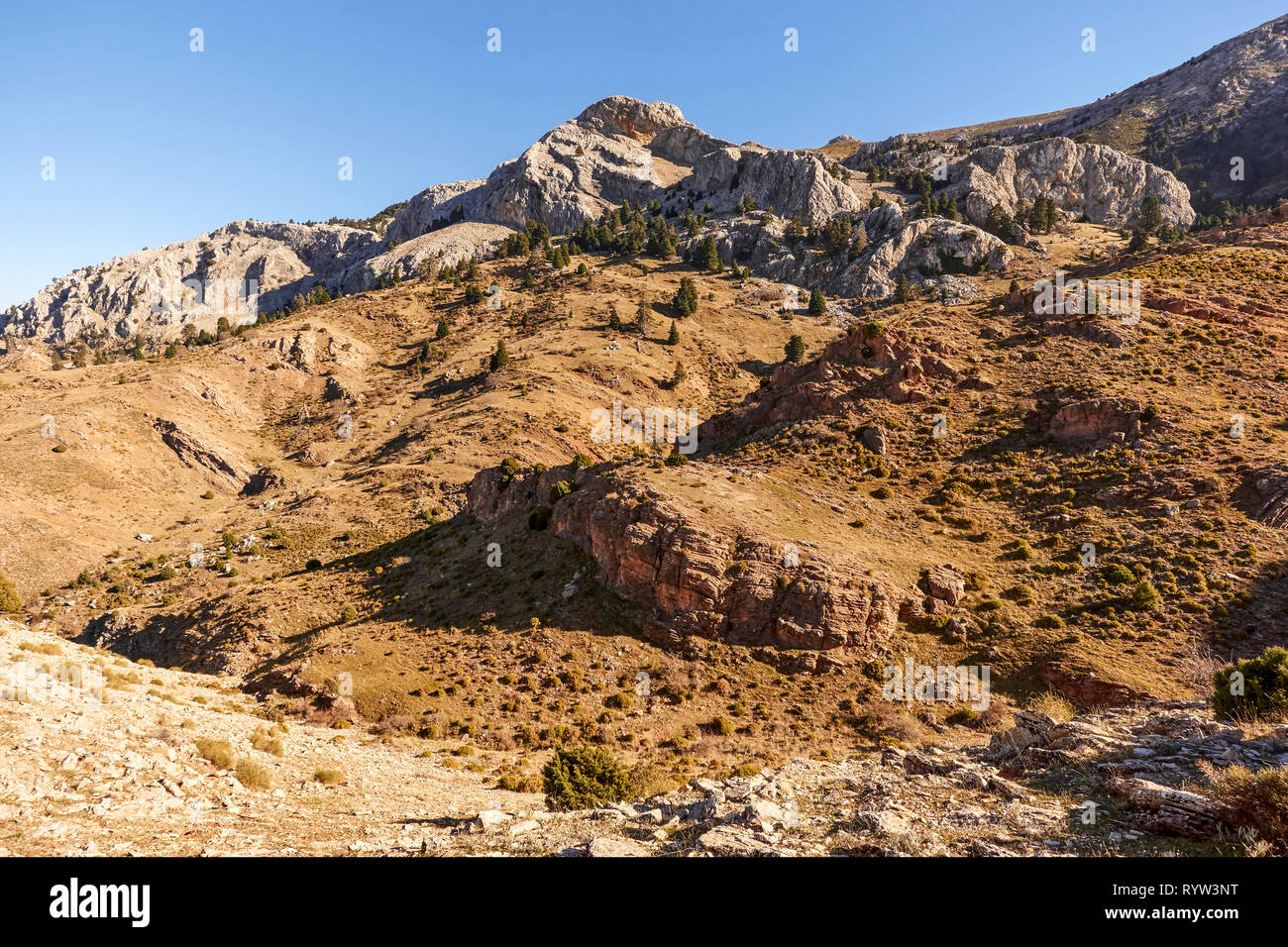 Paysage du Parc Naturel de la Sierra de las Nieves à Malaga, Espagne Banque D'Images